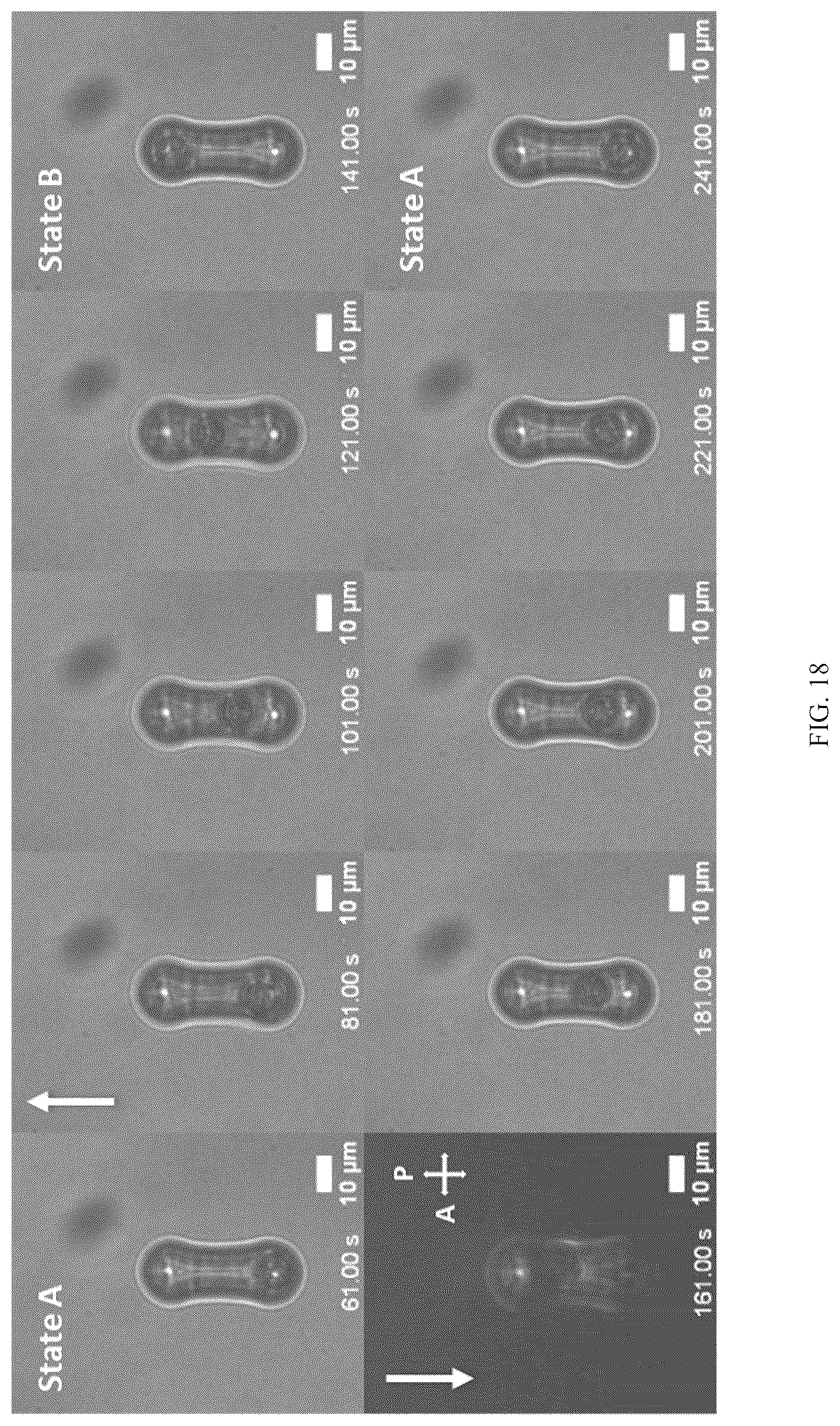 Patent US12619003 Figure 18 – Multistable elastic pixel (mep)-based reversibly reconfigurable metasurfaces