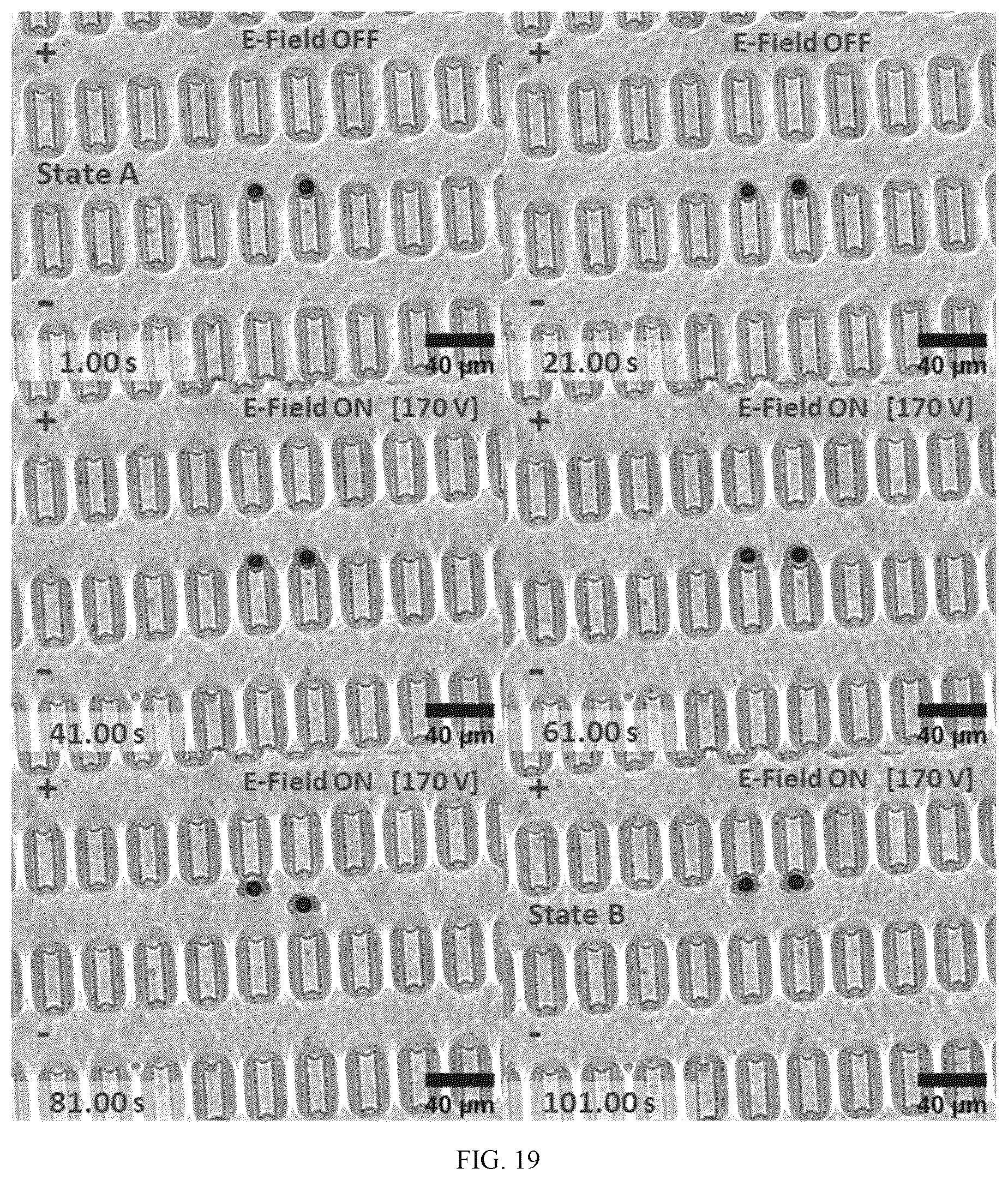 Patent US12619003 Figure 19 – Multistable elastic pixel (mep)-based reversibly reconfigurable metasurfaces