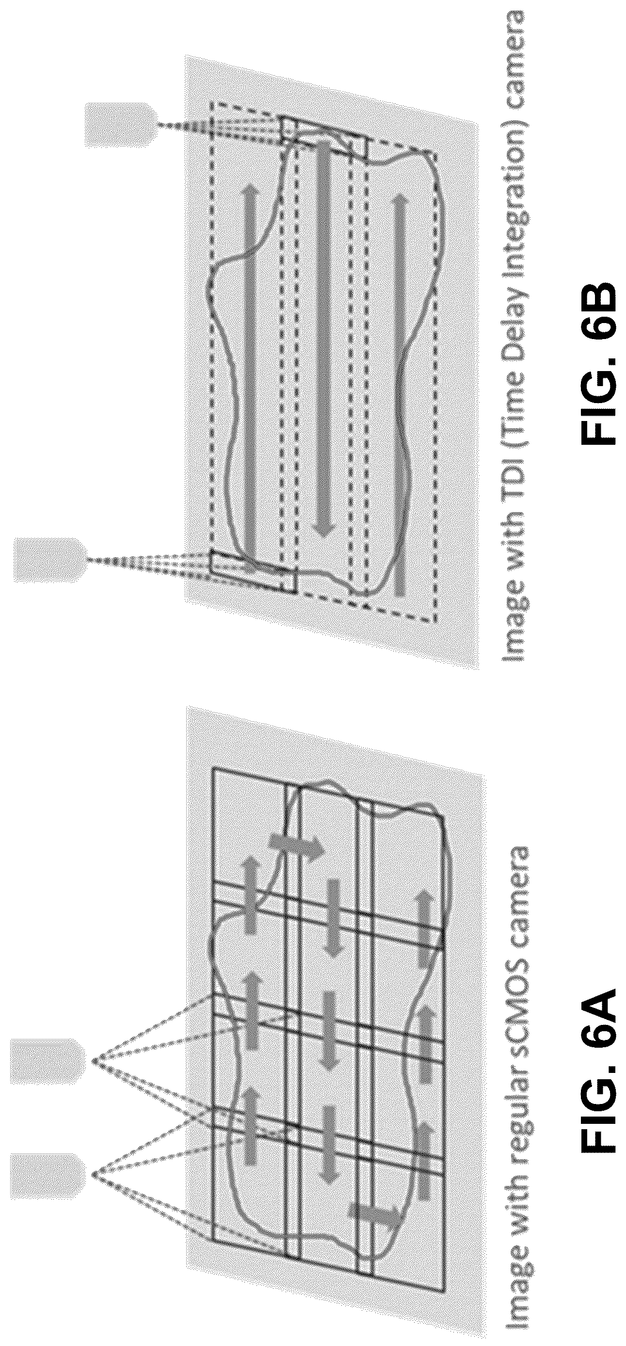 Patent US12619058 Figure 6 – High-throughput spatial imaging system for biological samples