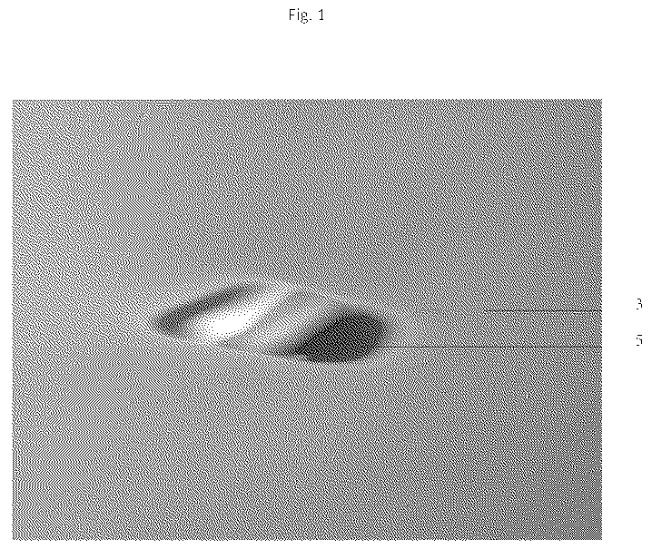 Patent US12619089 Figure 1 – Rainbow projector and method for producing rainbow light