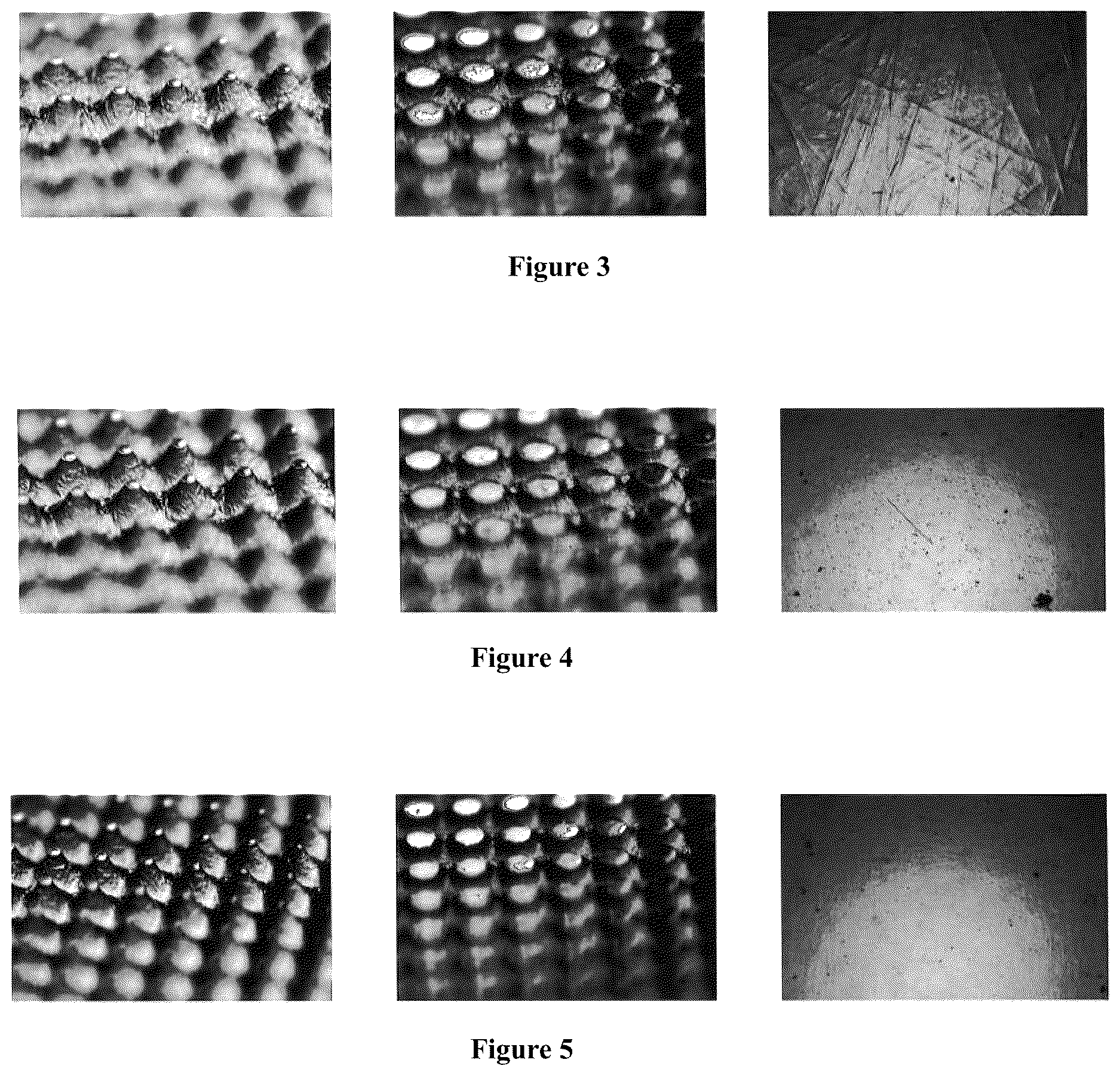 Patent US12619153 Figure 3 – Thermal processor and method for using the same