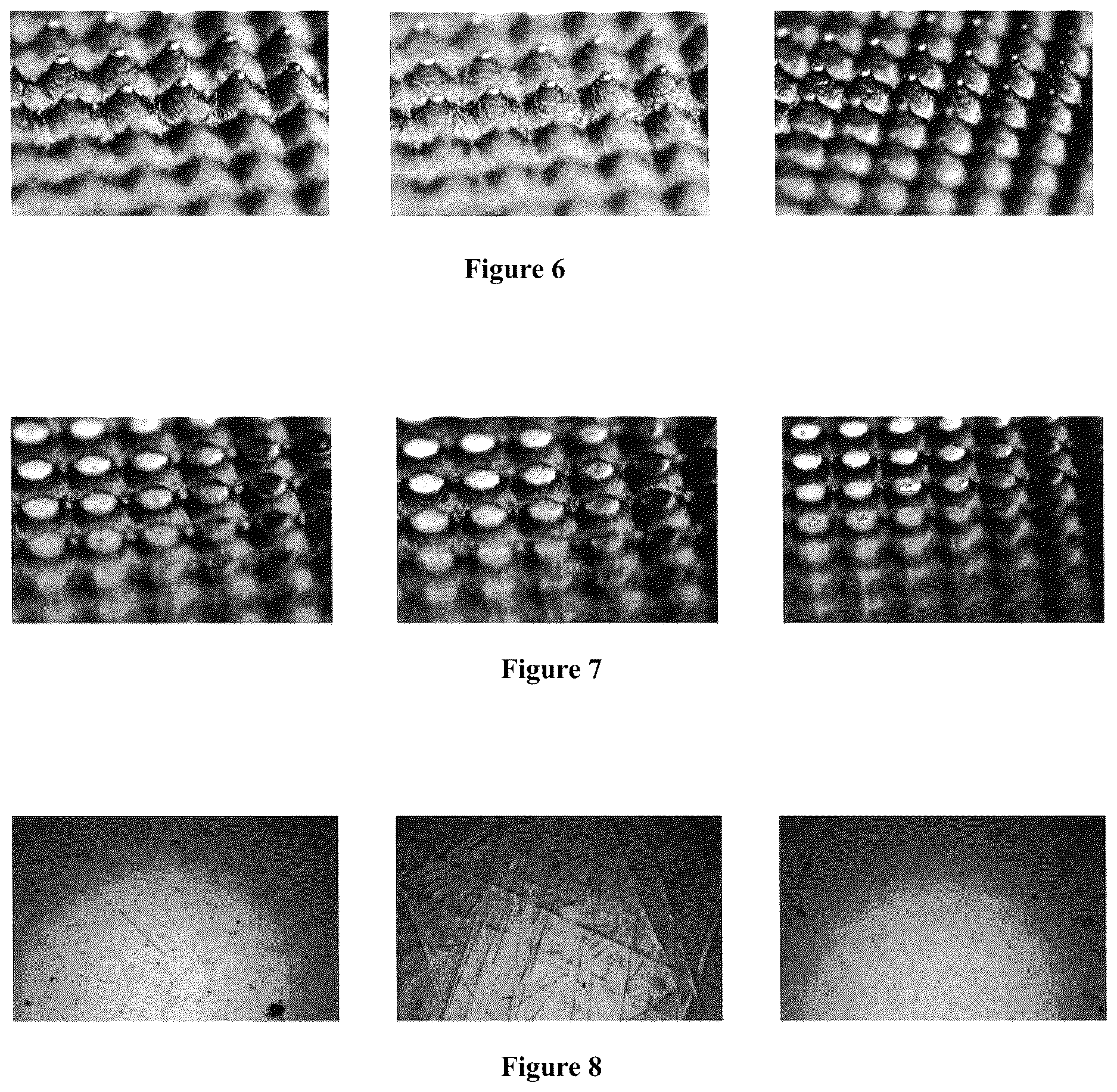 Patent US12619153 Figure 4 – Thermal processor and method for using the same