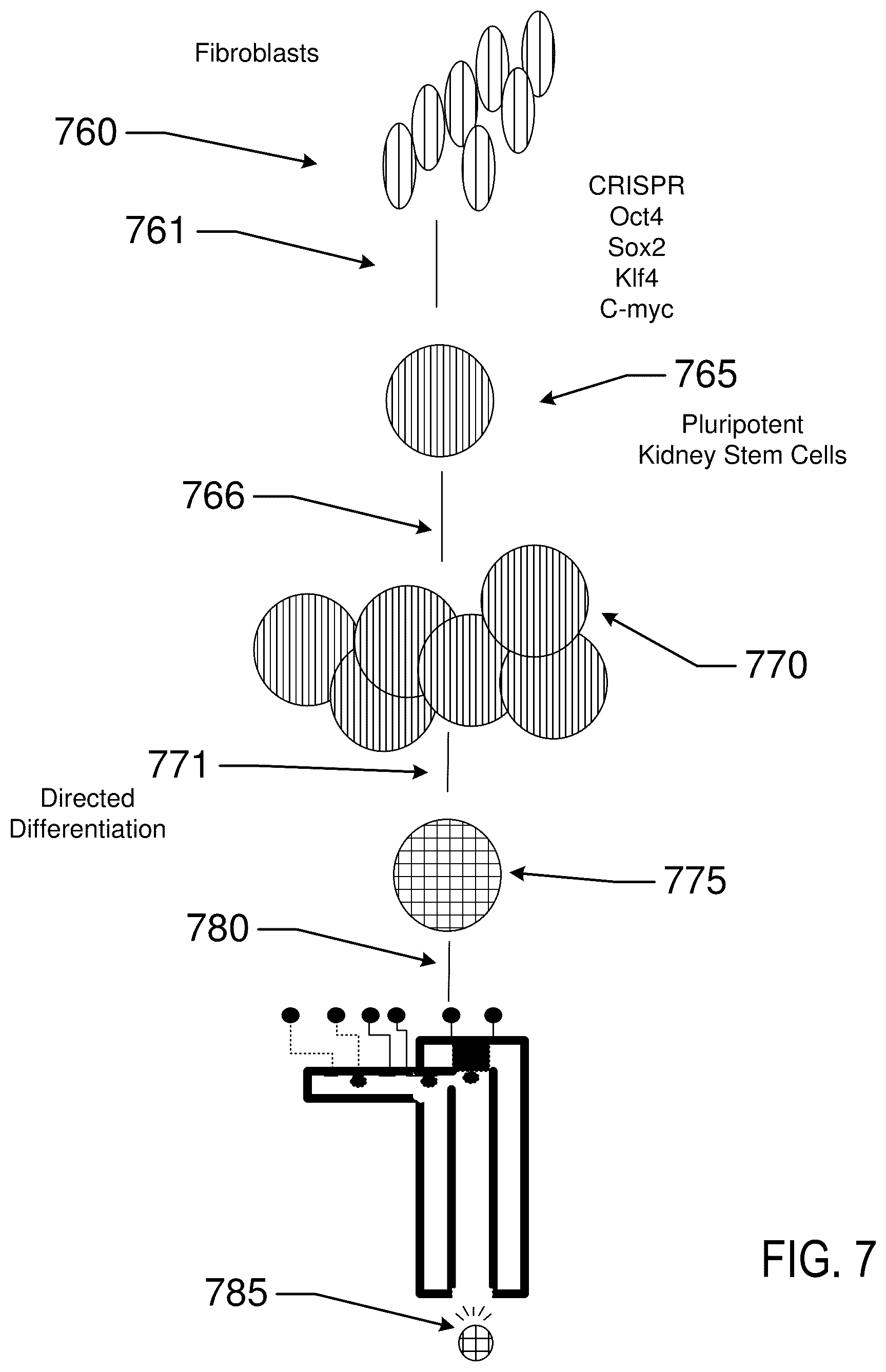 Patent US12619211 Figure 8 – Method and apparatus for a tissue engineering system utilizing stacked layers