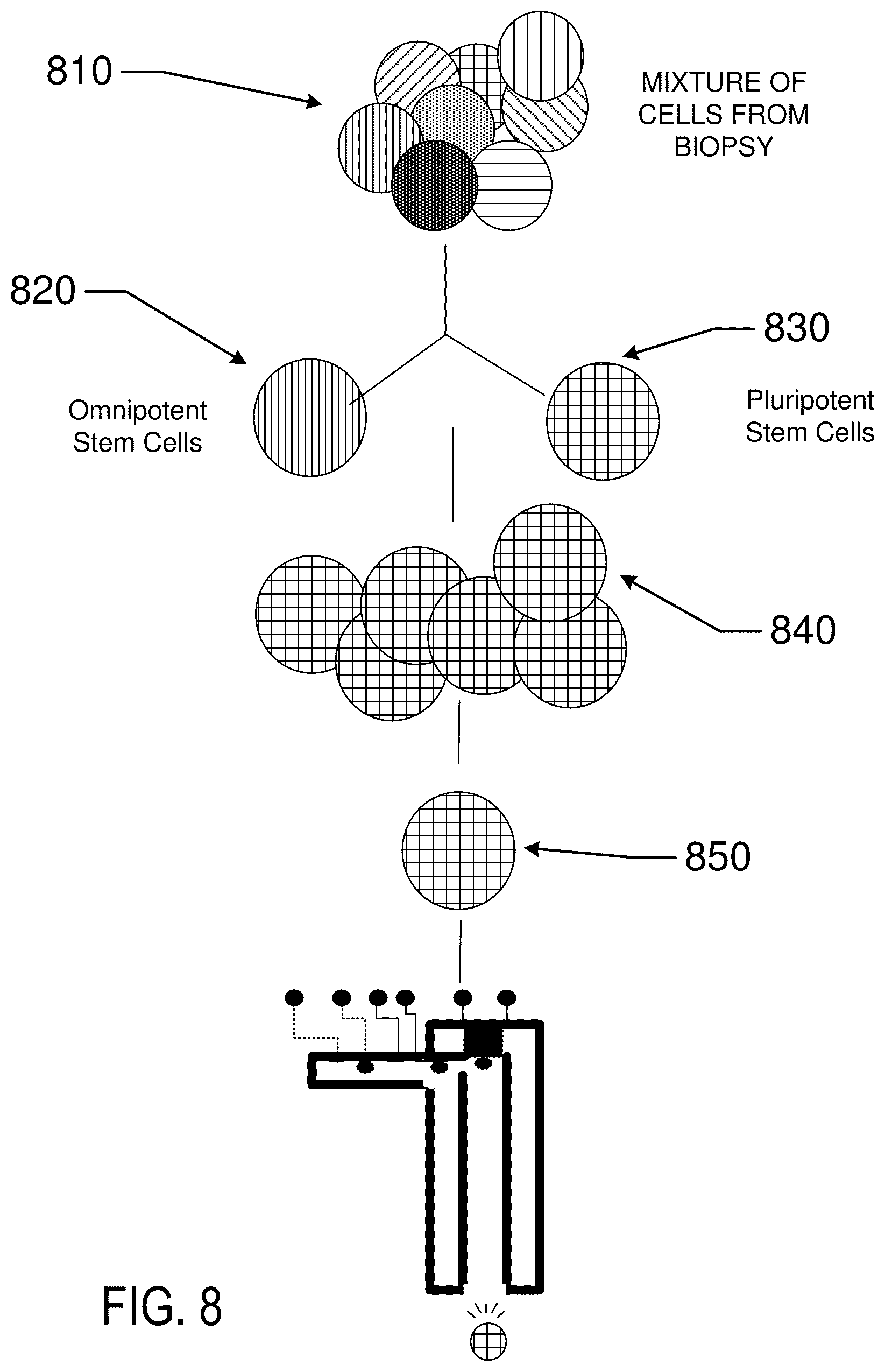 Patent US12619211 Figure 9 – Method and apparatus for a tissue engineering system utilizing stacked layers
