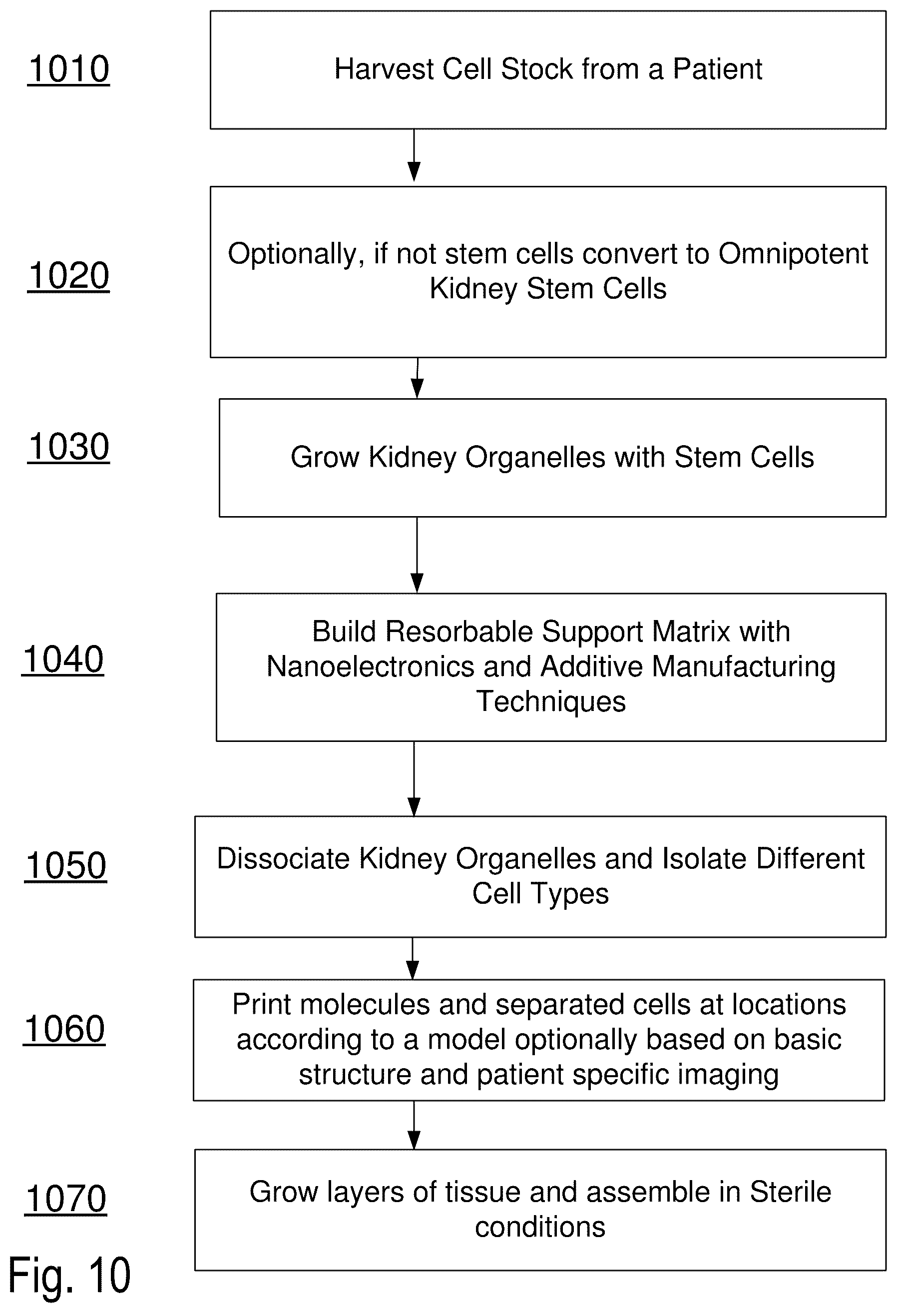 Patent US12619211 Figure 14 – Method and apparatus for a tissue engineering system utilizing stacked layers