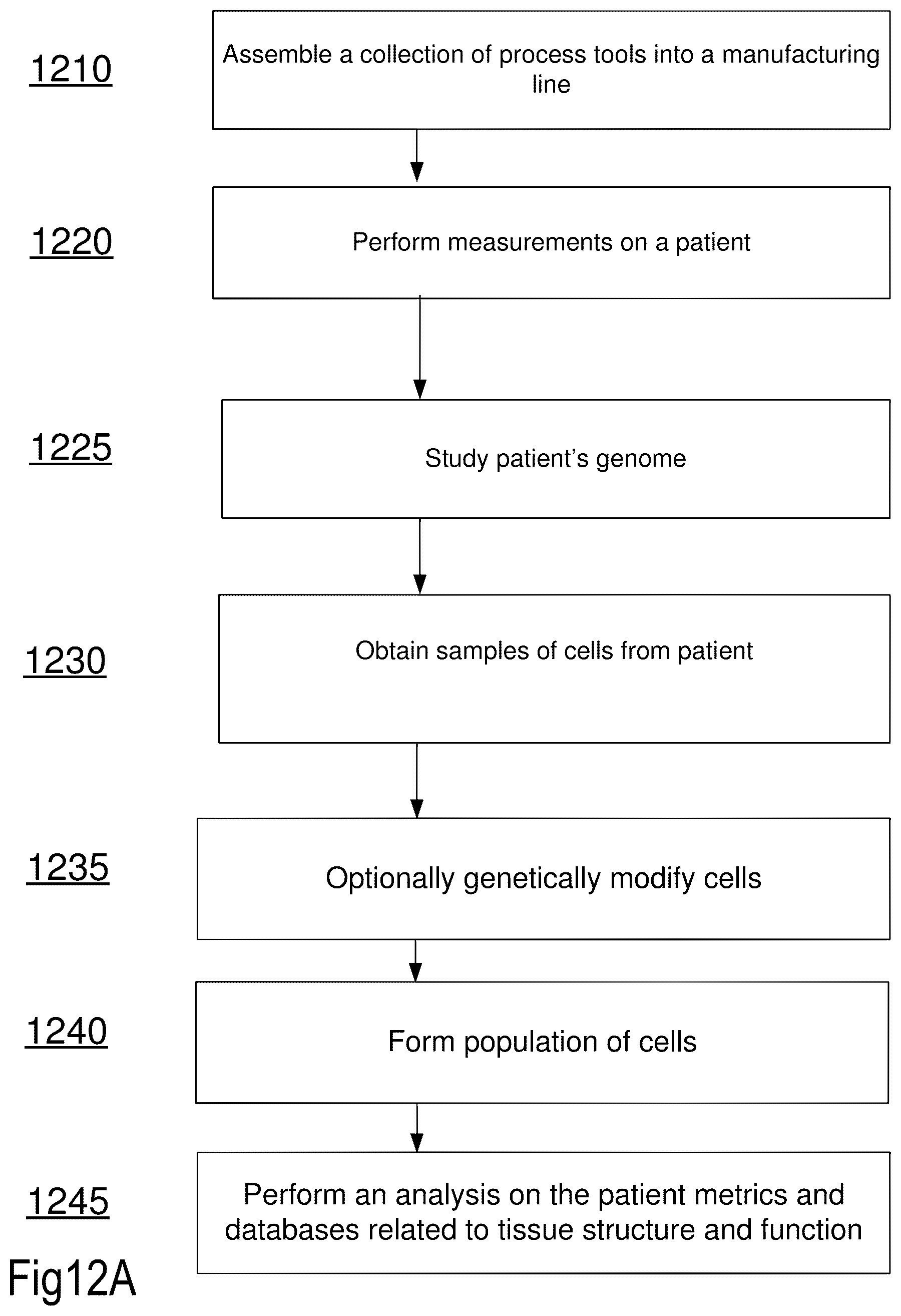 Patent US12619211 Figure 17 – Method and apparatus for a tissue engineering system utilizing stacked layers