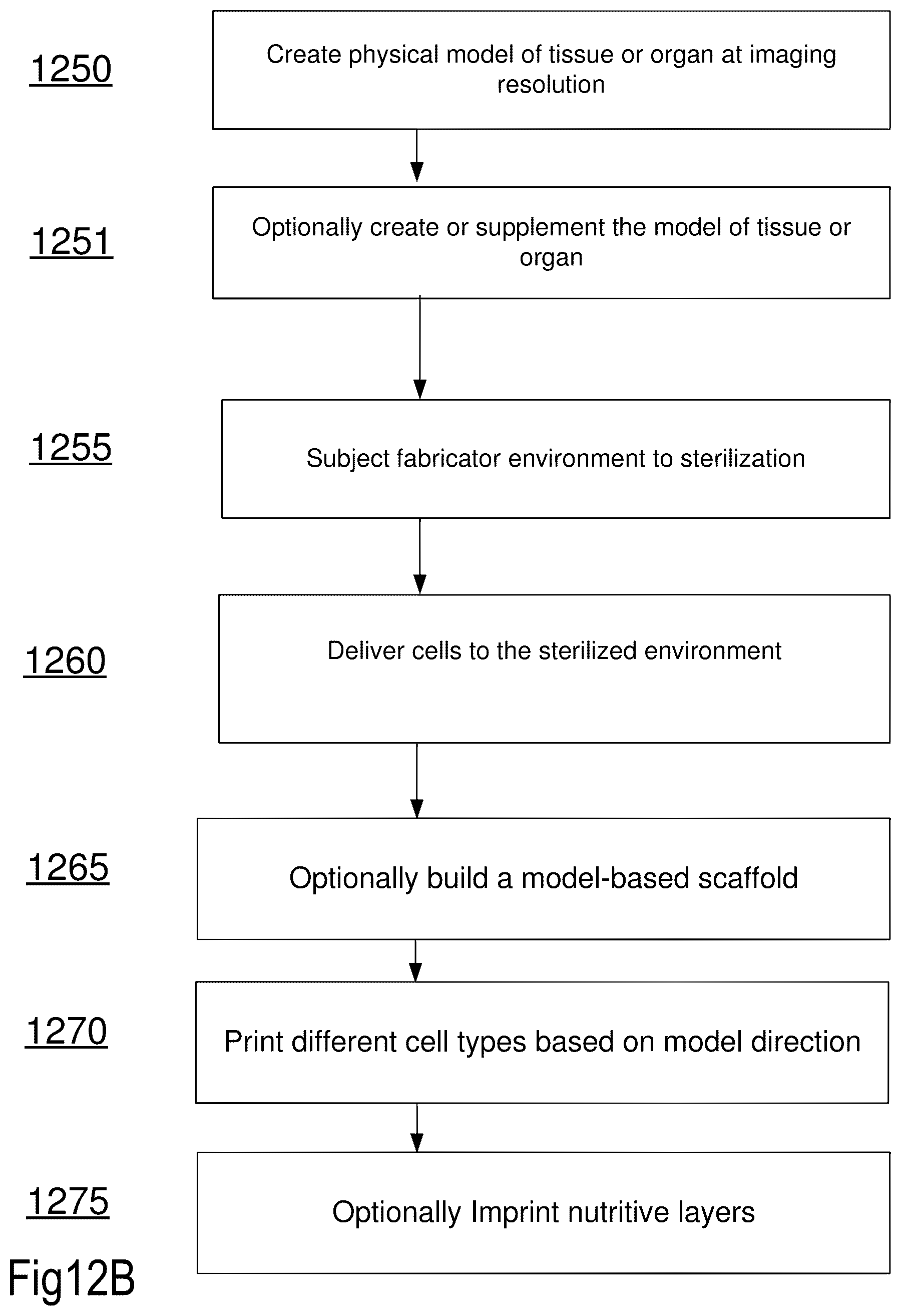 Patent US12619211 Figure 18 – Method and apparatus for a tissue engineering system utilizing stacked layers