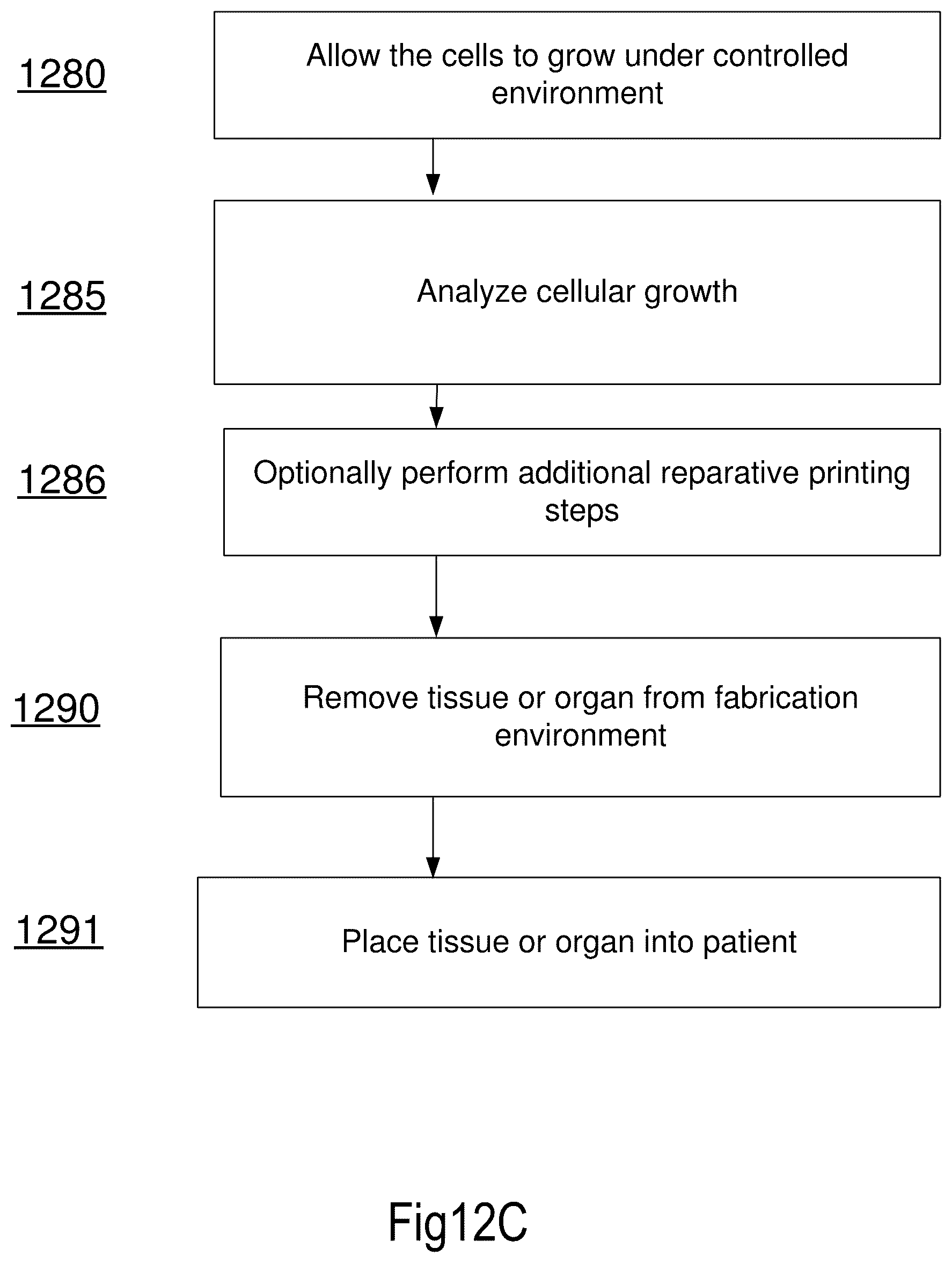 Patent US12619211 Figure 19 – Method and apparatus for a tissue engineering system utilizing stacked layers