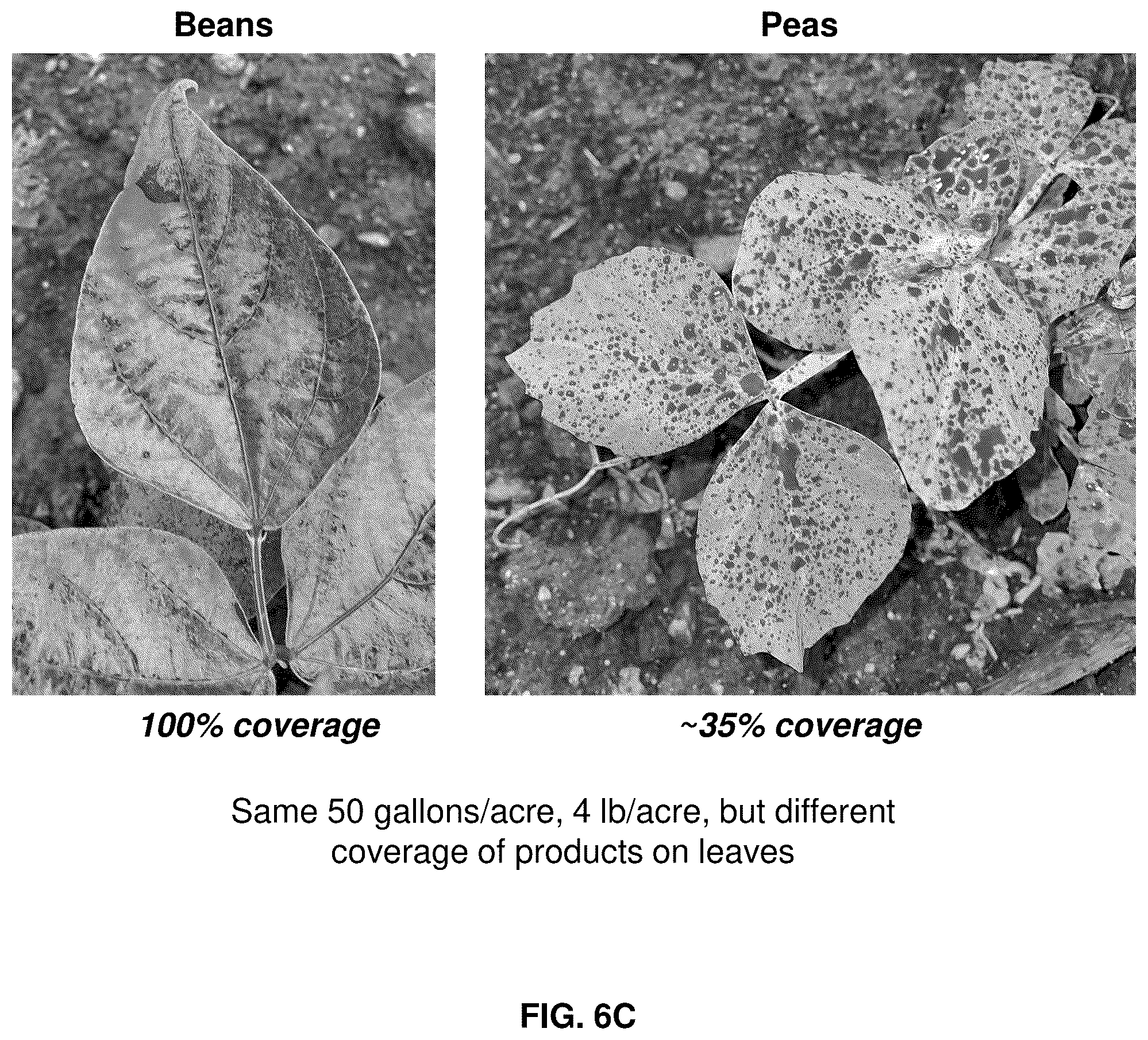 Patent US12619215 Figure 7 – Systems and methods for real-time measurement and control of sprayed liquid coverage on plant surfaces