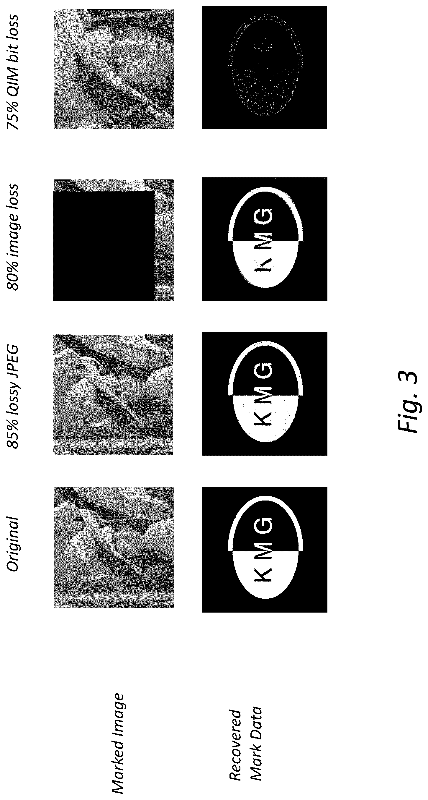 Patent US12619689 Figure 3 – Data watermarking