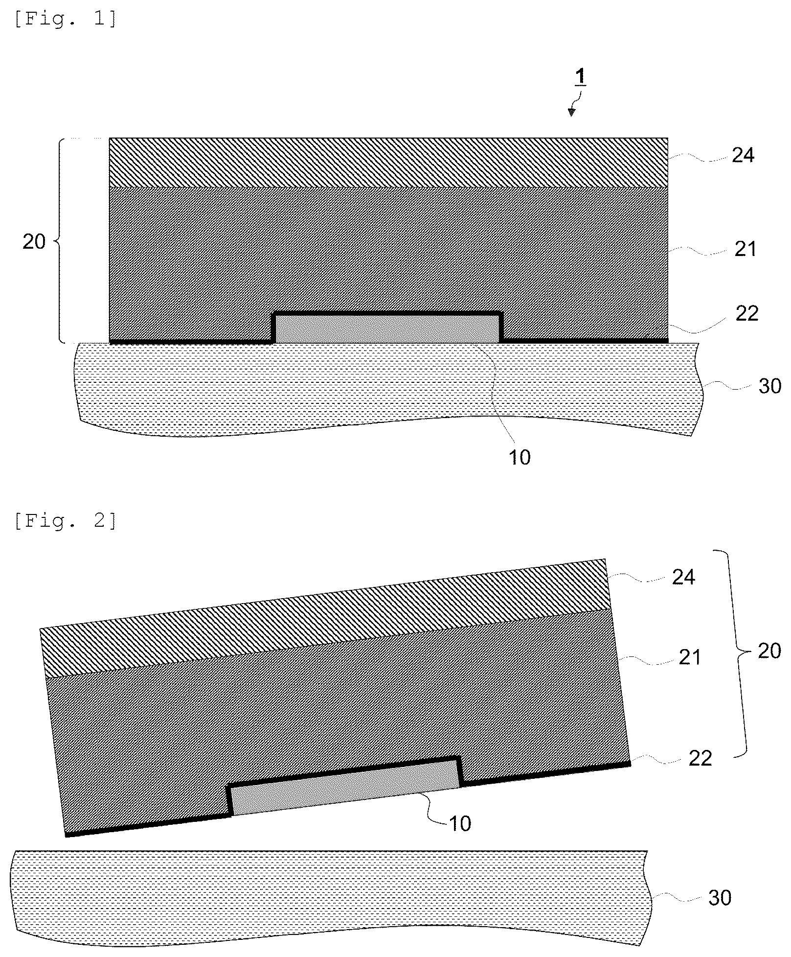 Patent US12619851 Figure 1 – Labeled molded body