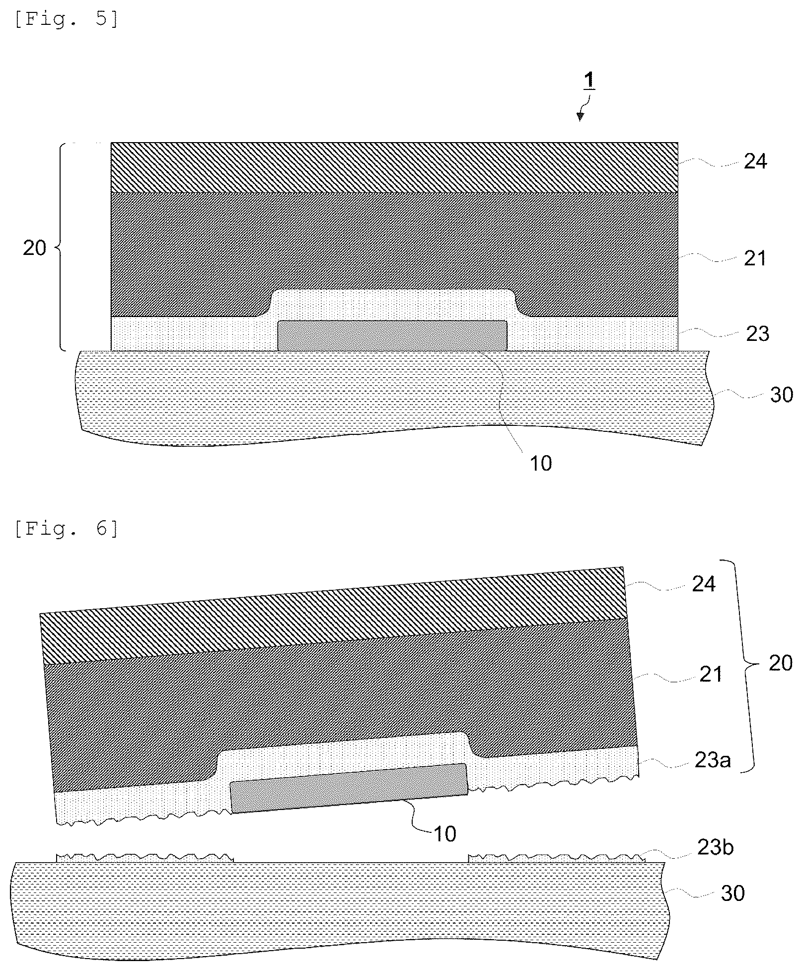 Patent US12619851 Figure 3 – Labeled molded body