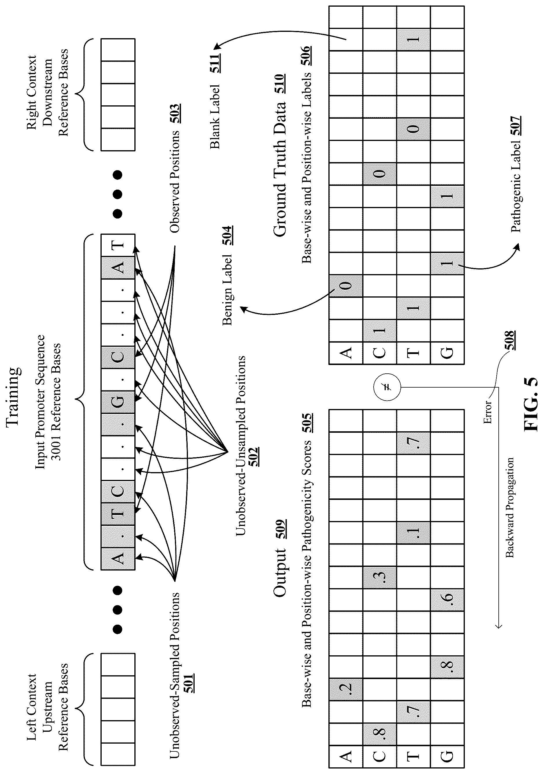 Patent US12619875 Figure 5 – Deep learning-based pathogenicity classifier for promoter single nucleotide variants (pSNVs)