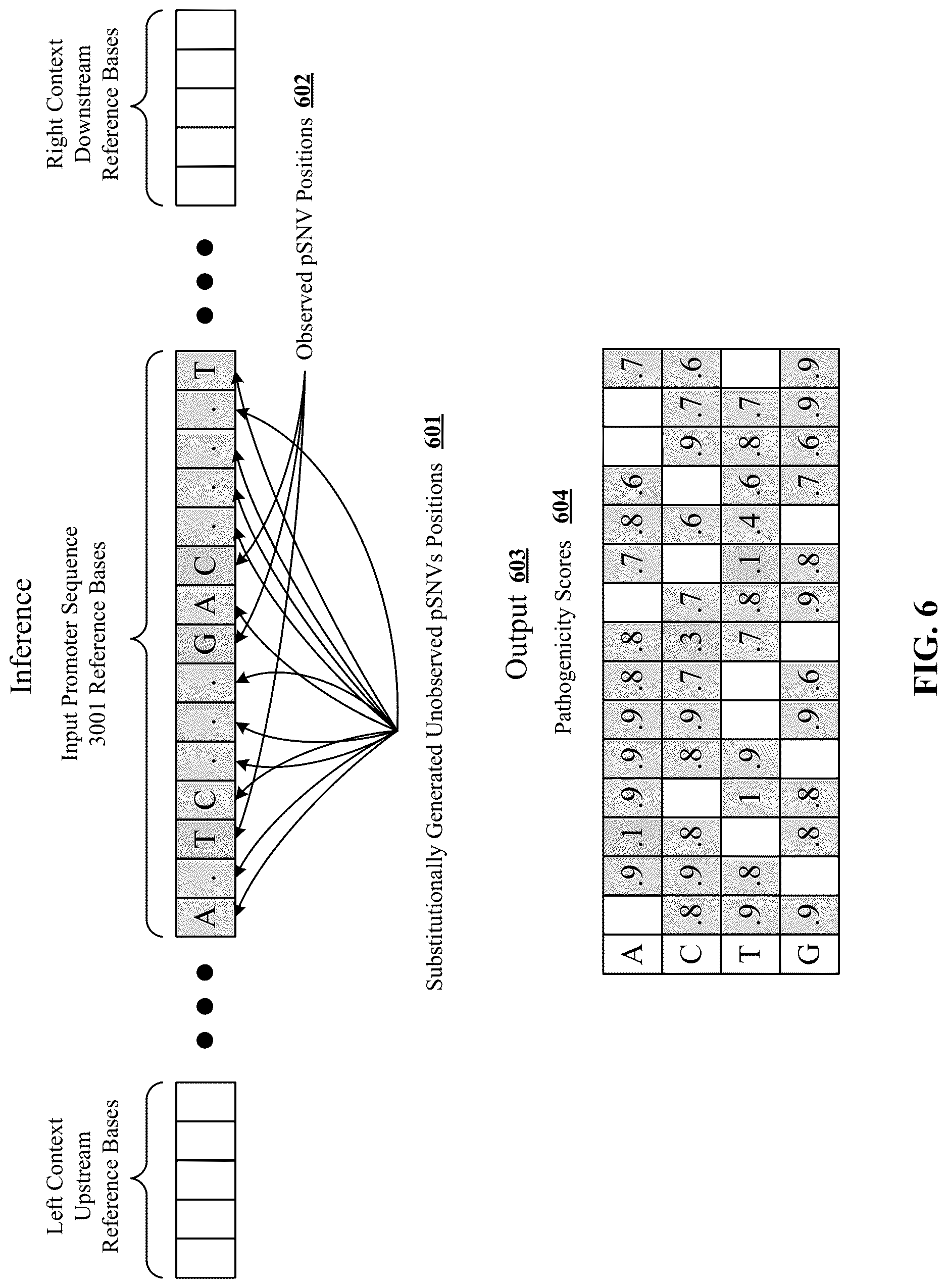 Patent US12619875 Figure 6 – Deep learning-based pathogenicity classifier for promoter single nucleotide variants (pSNVs)