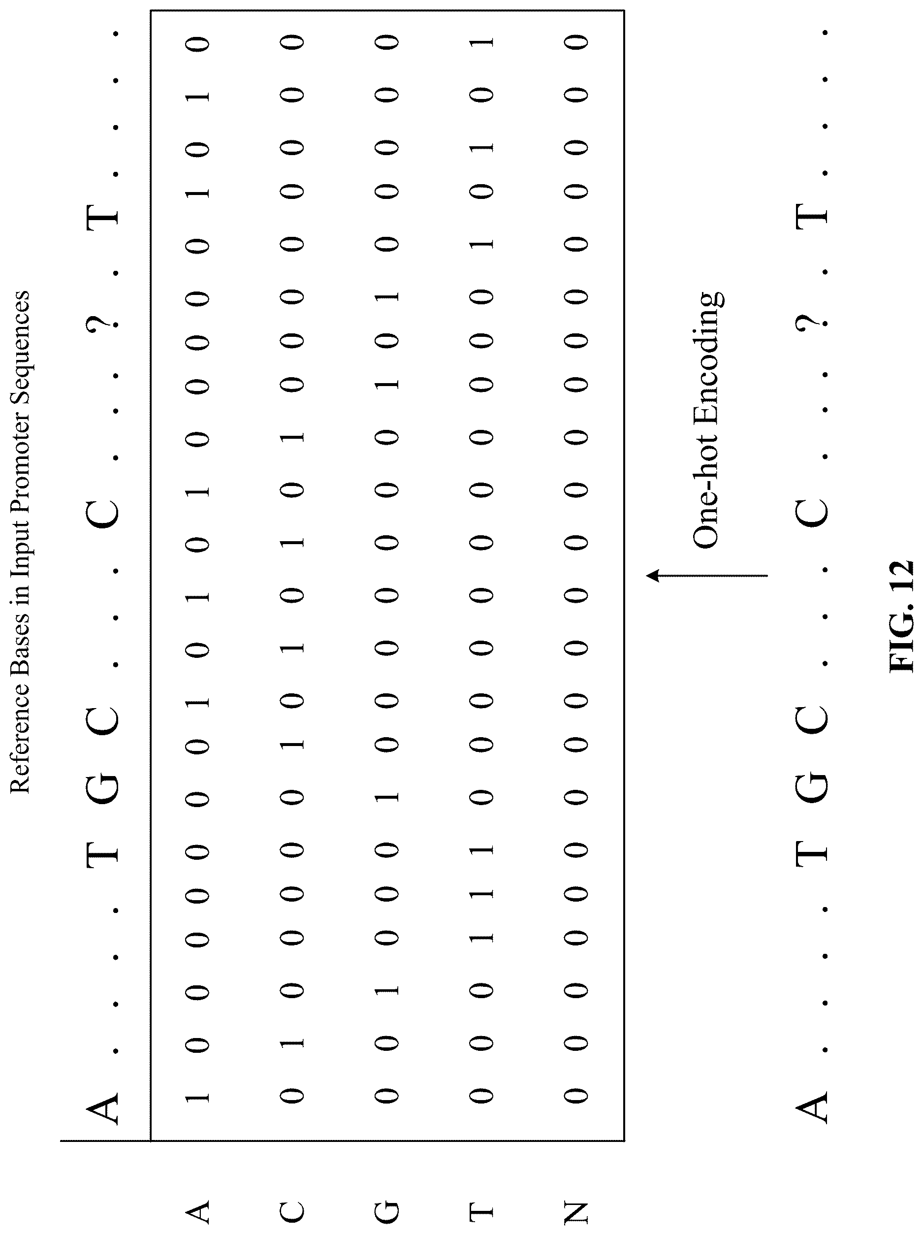 Patent US12619875 Figure 12 – Deep learning-based pathogenicity classifier for promoter single nucleotide variants (pSNVs)