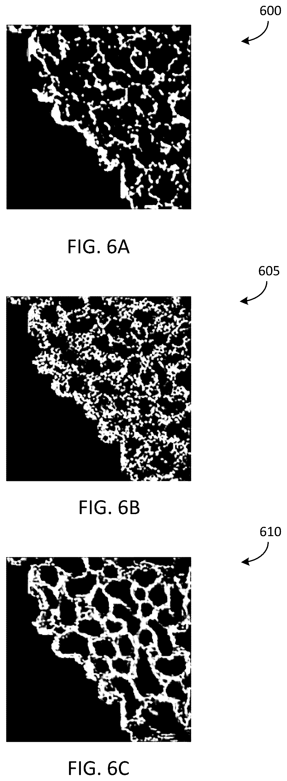 Patent US12620065 Figure 6 – Systems and methods for automatic cell identification using images of human epithelial tissue structure