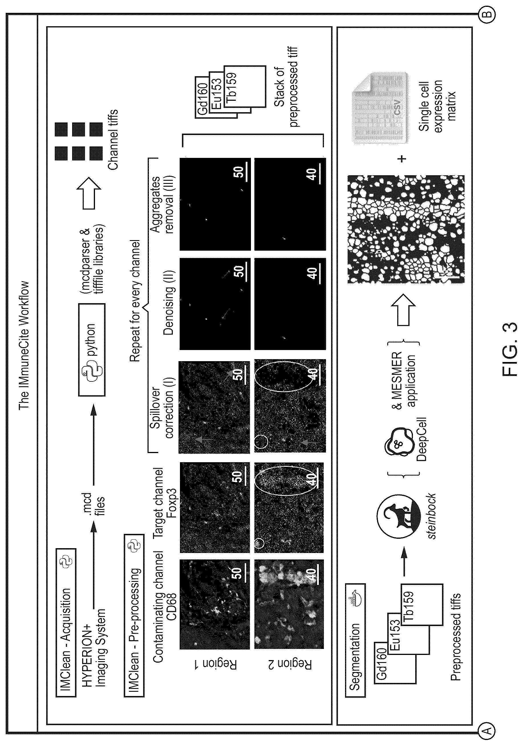 Patent US12620069 Figure 3 – Processing multiplex images and analysis of immune enriched spatial proteomic data