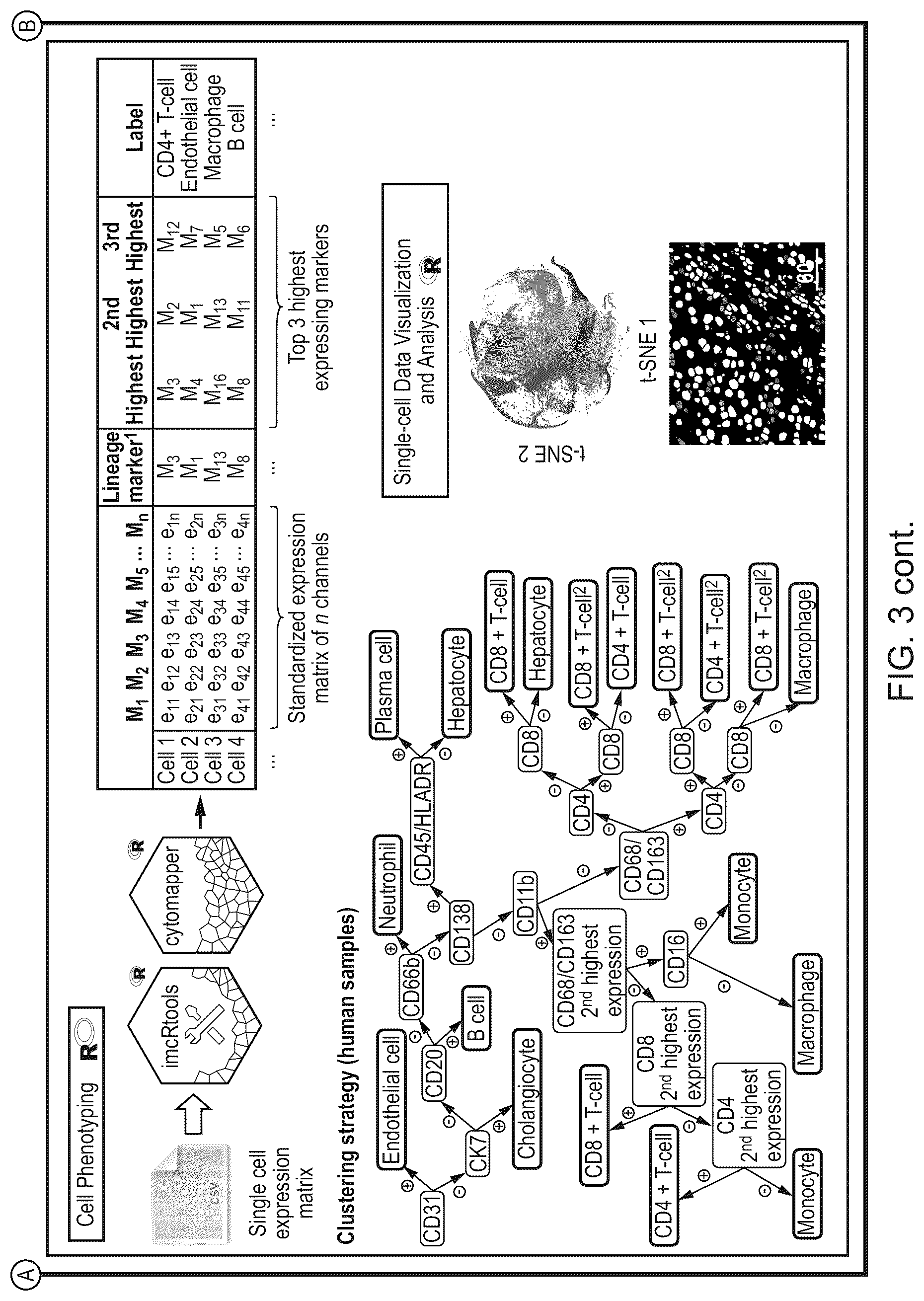 Patent US12620069 Figure 4 – Processing multiplex images and analysis of immune enriched spatial proteomic data