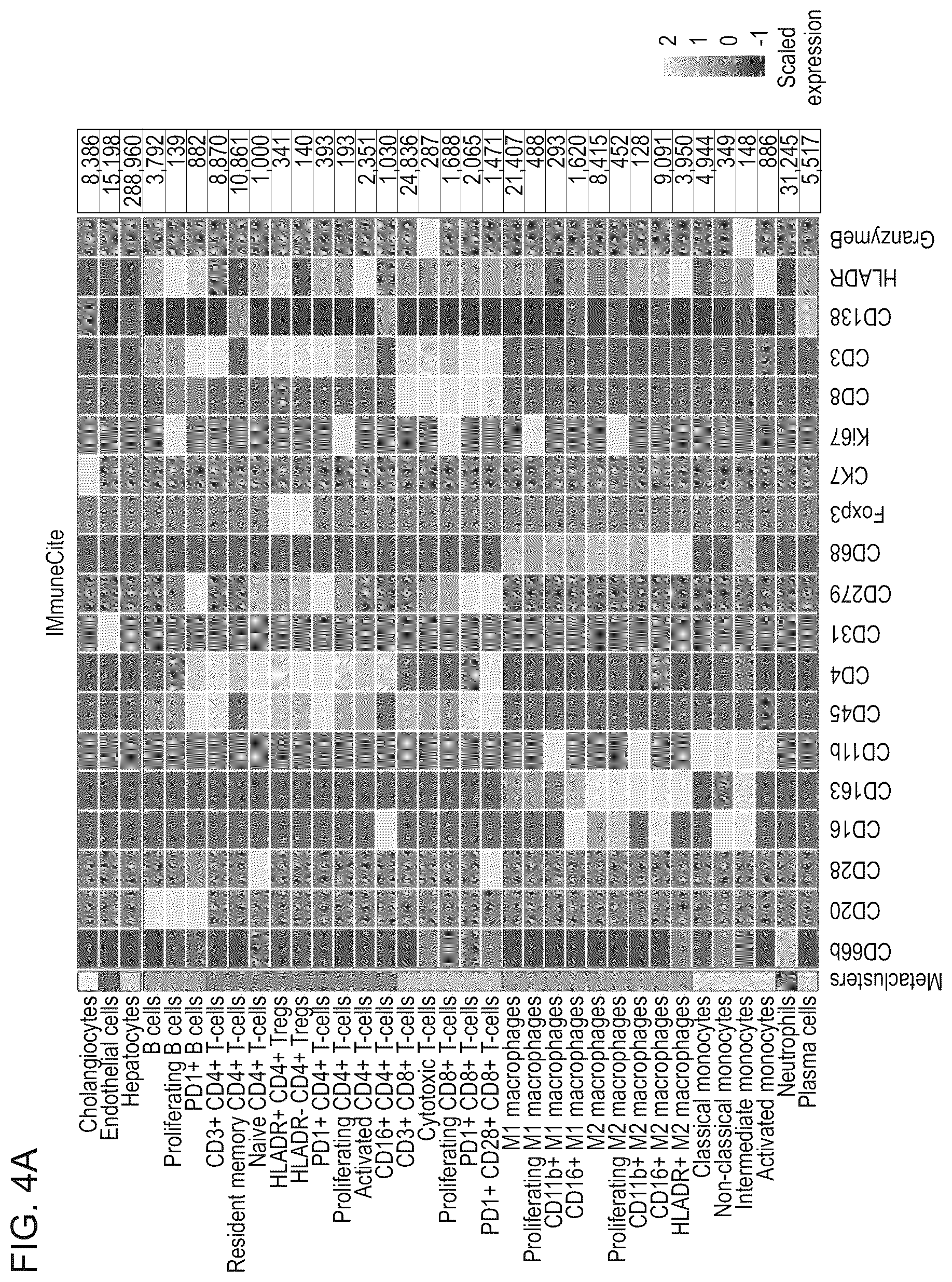 Patent US12620069 Figure 5 – Processing multiplex images and analysis of immune enriched spatial proteomic data