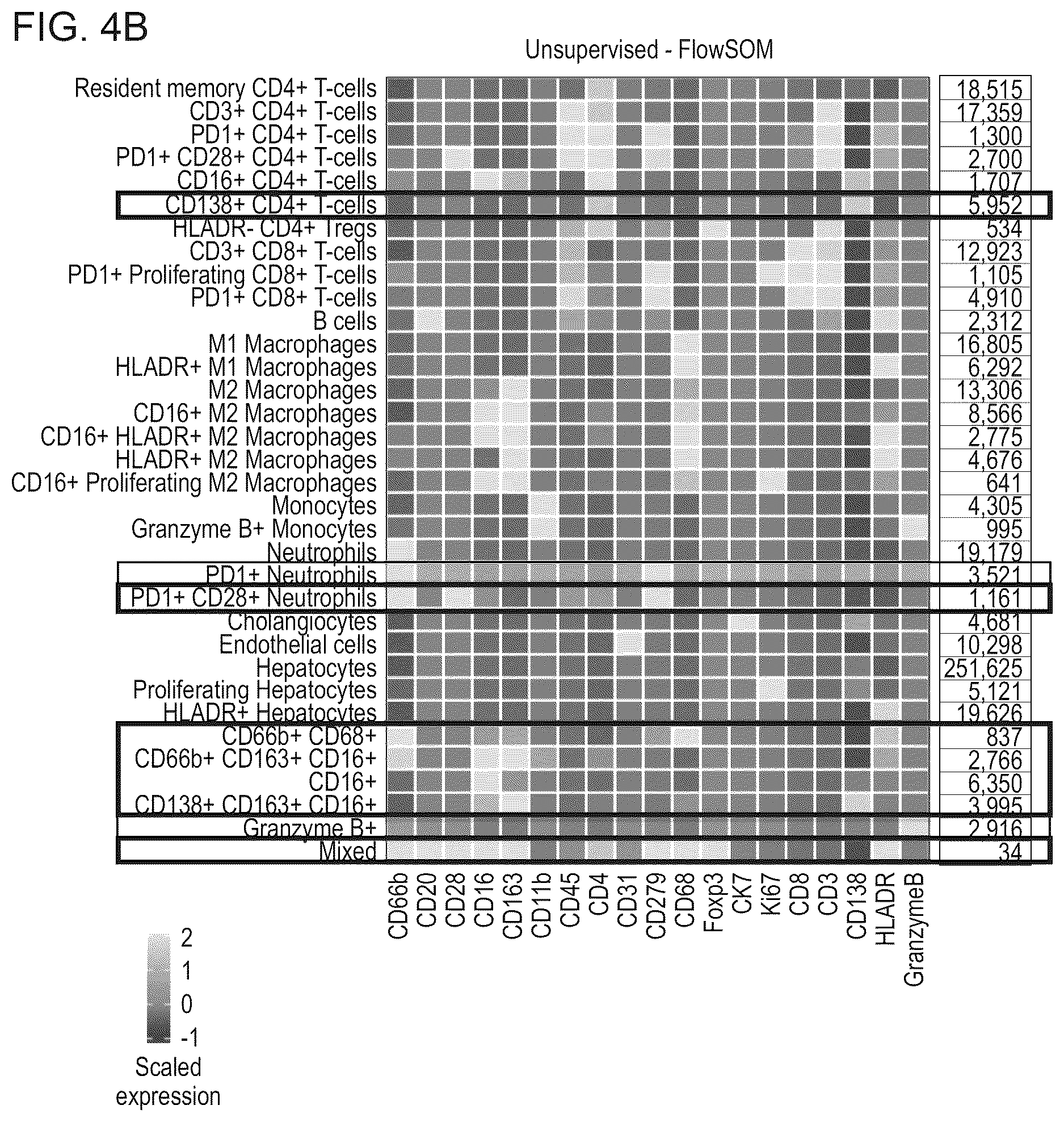 Patent US12620069 Figure 6 – Processing multiplex images and analysis of immune enriched spatial proteomic data