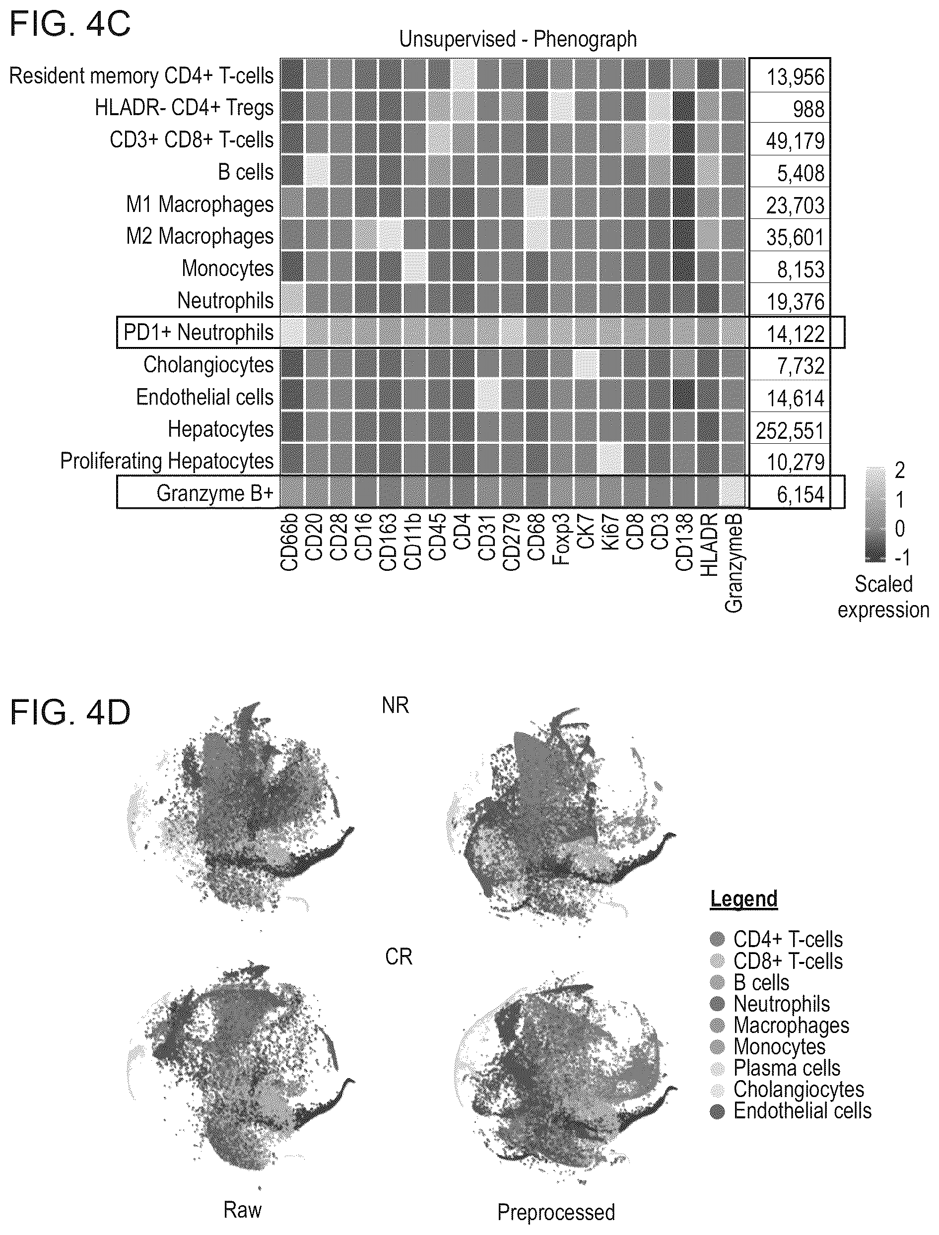 Patent US12620069 Figure 7 – Processing multiplex images and analysis of immune enriched spatial proteomic data