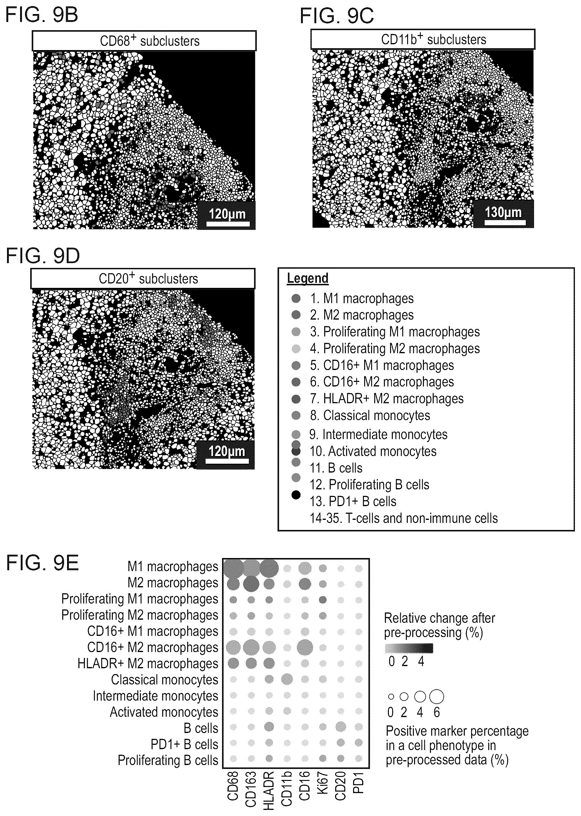 Patent US12620069 Figure 20 – Processing multiplex images and analysis of immune enriched spatial proteomic data