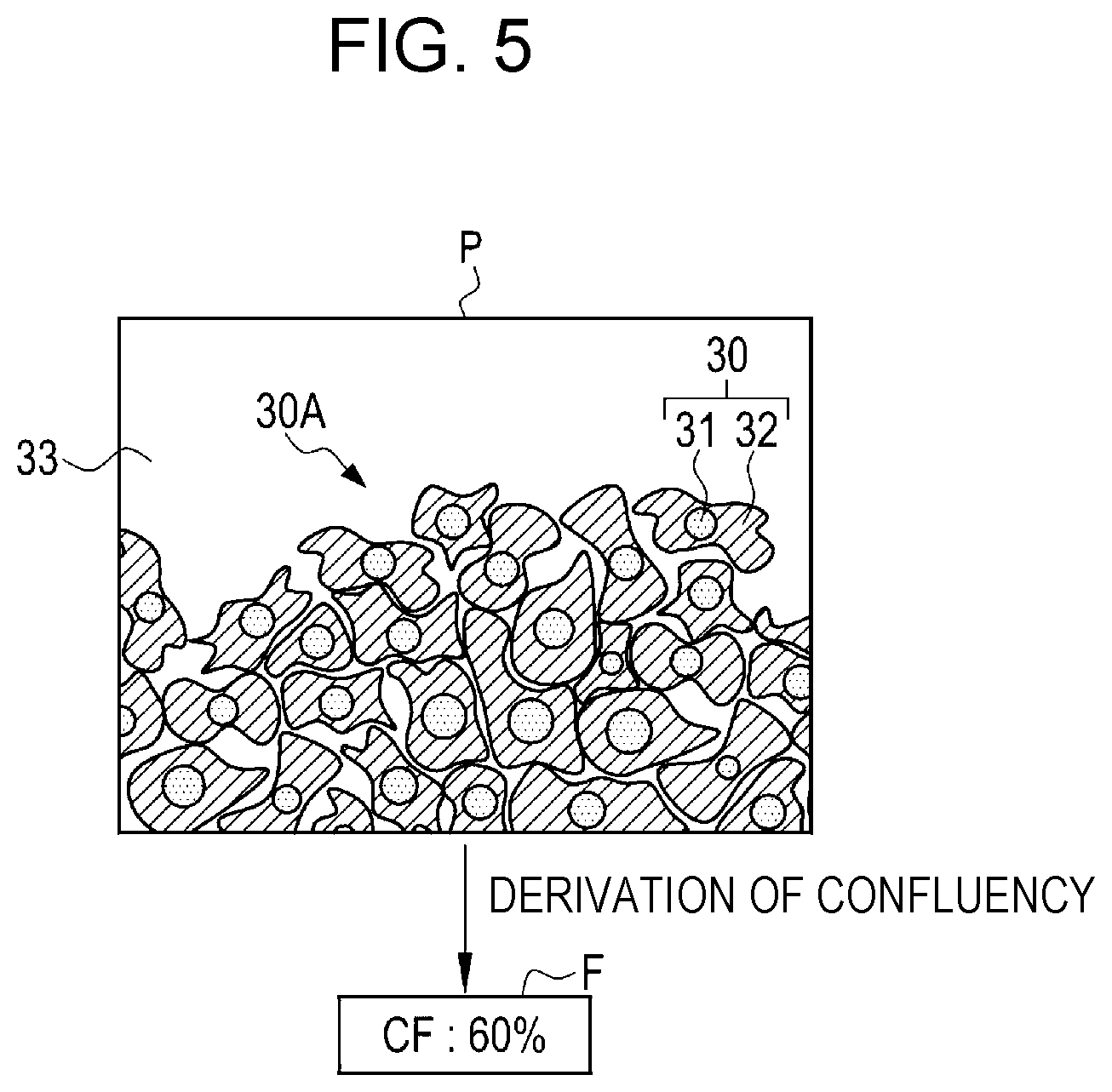 Patent US12620095 Figure 5 – Cell quality evaluation apparatus, cell quality evaluation method, and program