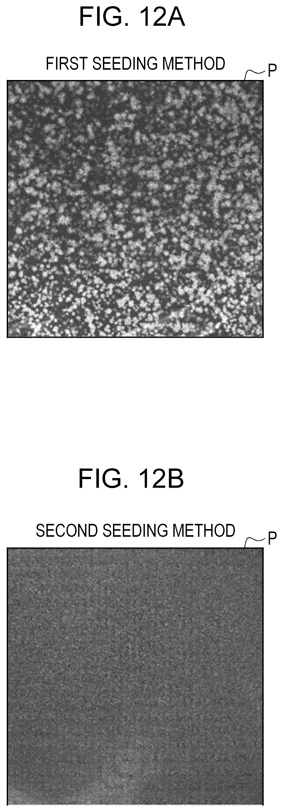 Patent US12620095 Figure 12 – Cell quality evaluation apparatus, cell quality evaluation method, and program
