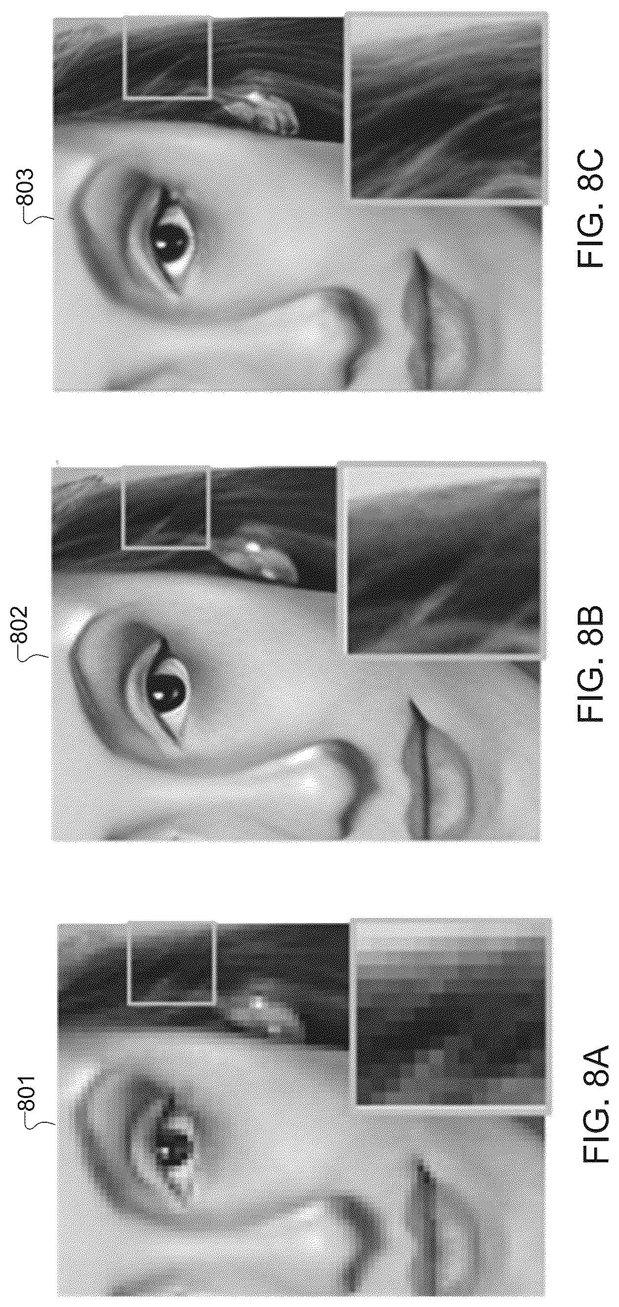 Patent US12620099 Figure 8 – Picture quality-sensitive semantic segmentation for use in training image generation adversarial networks