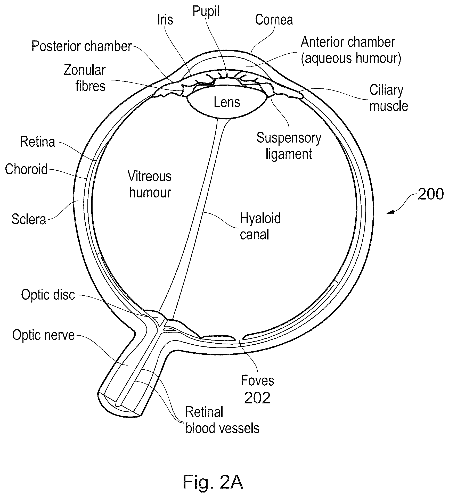 Patent US12620112 Figure 2 – Subsurface imaging and display of 3D digital image and 3D image sequence