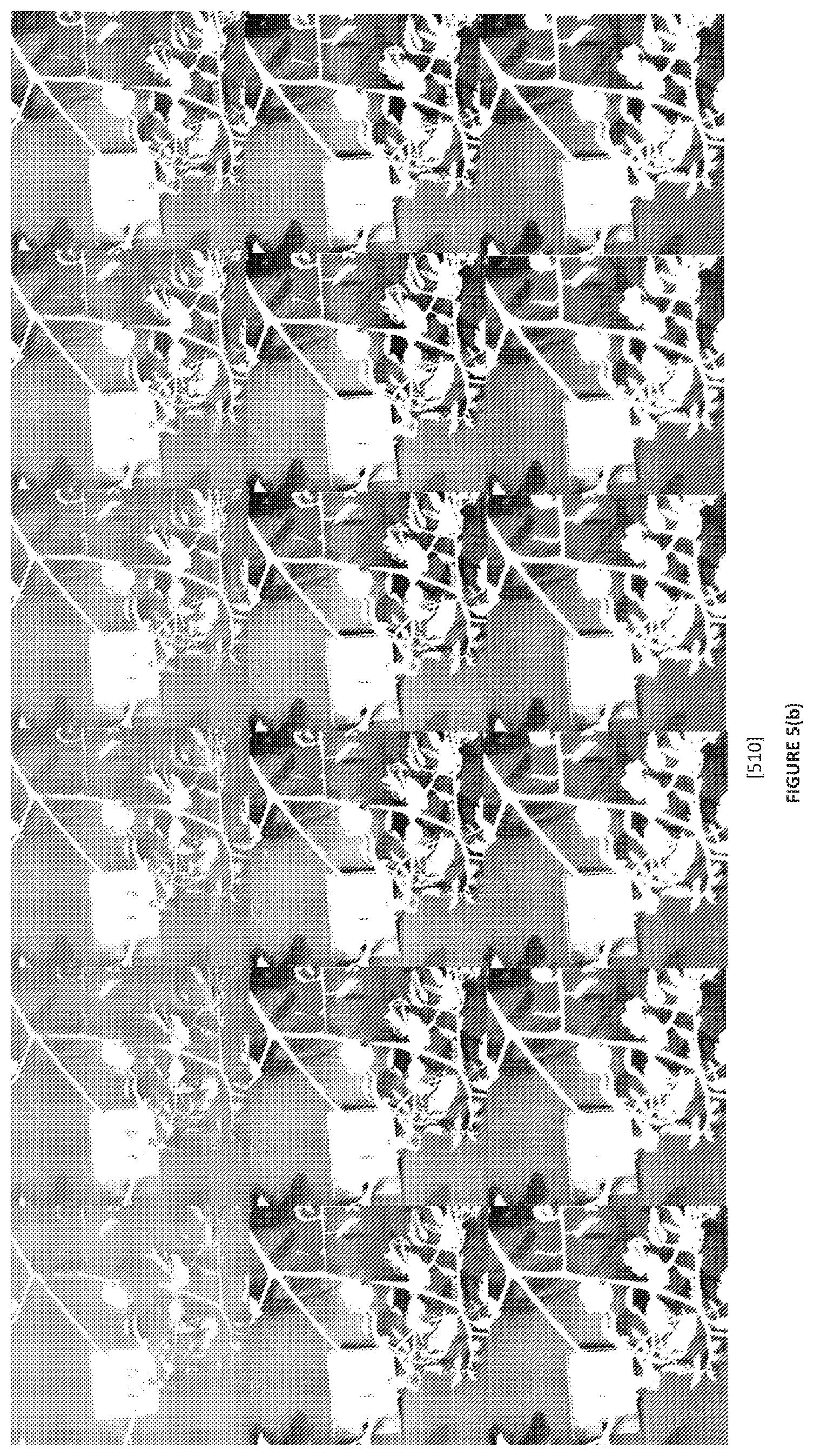 Patent US12620133 Figure 6 – System and method of imaging