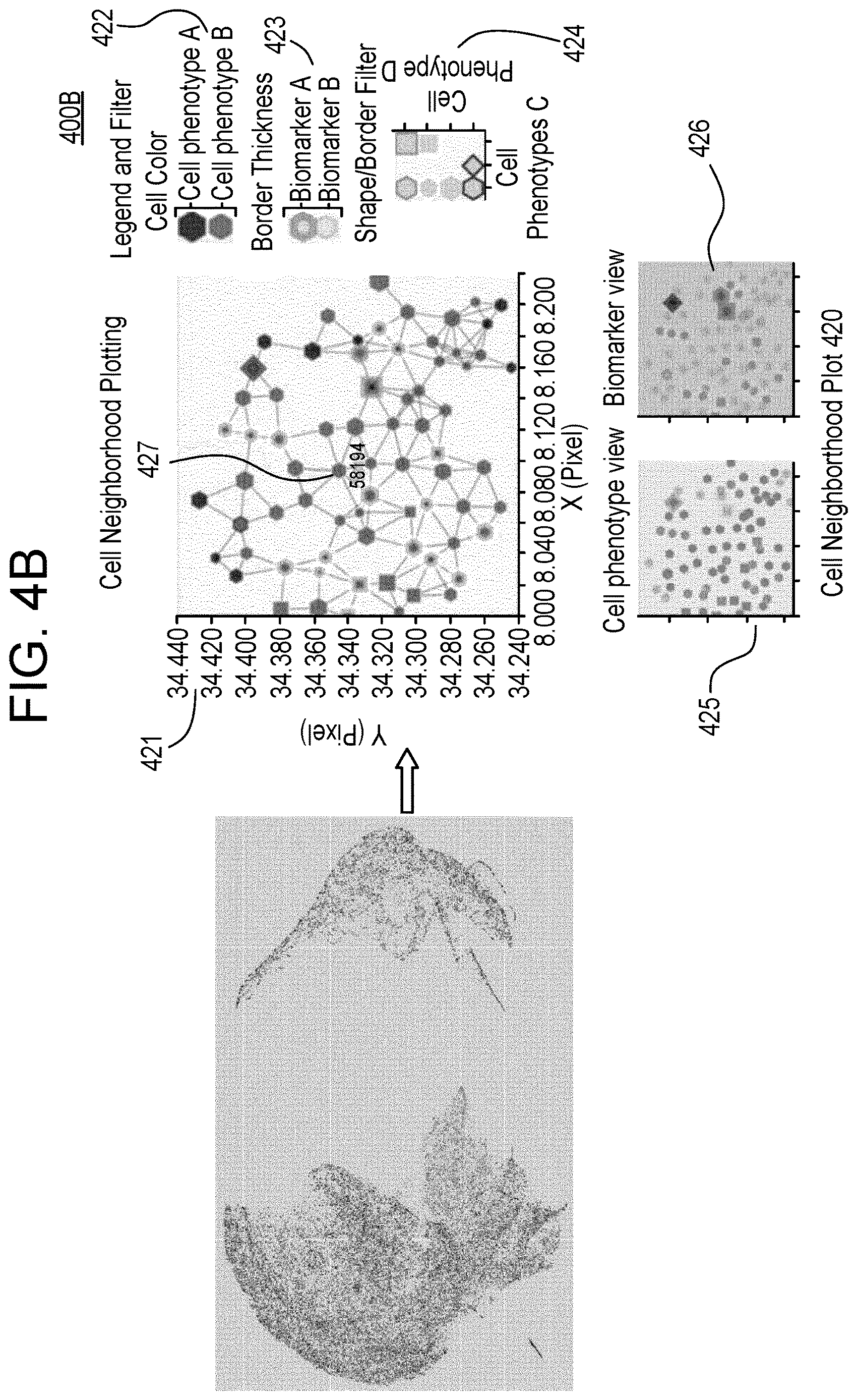 Patent US12620146 Figure 5 – Graph construction and visualization of multiplex immunofluorescence images