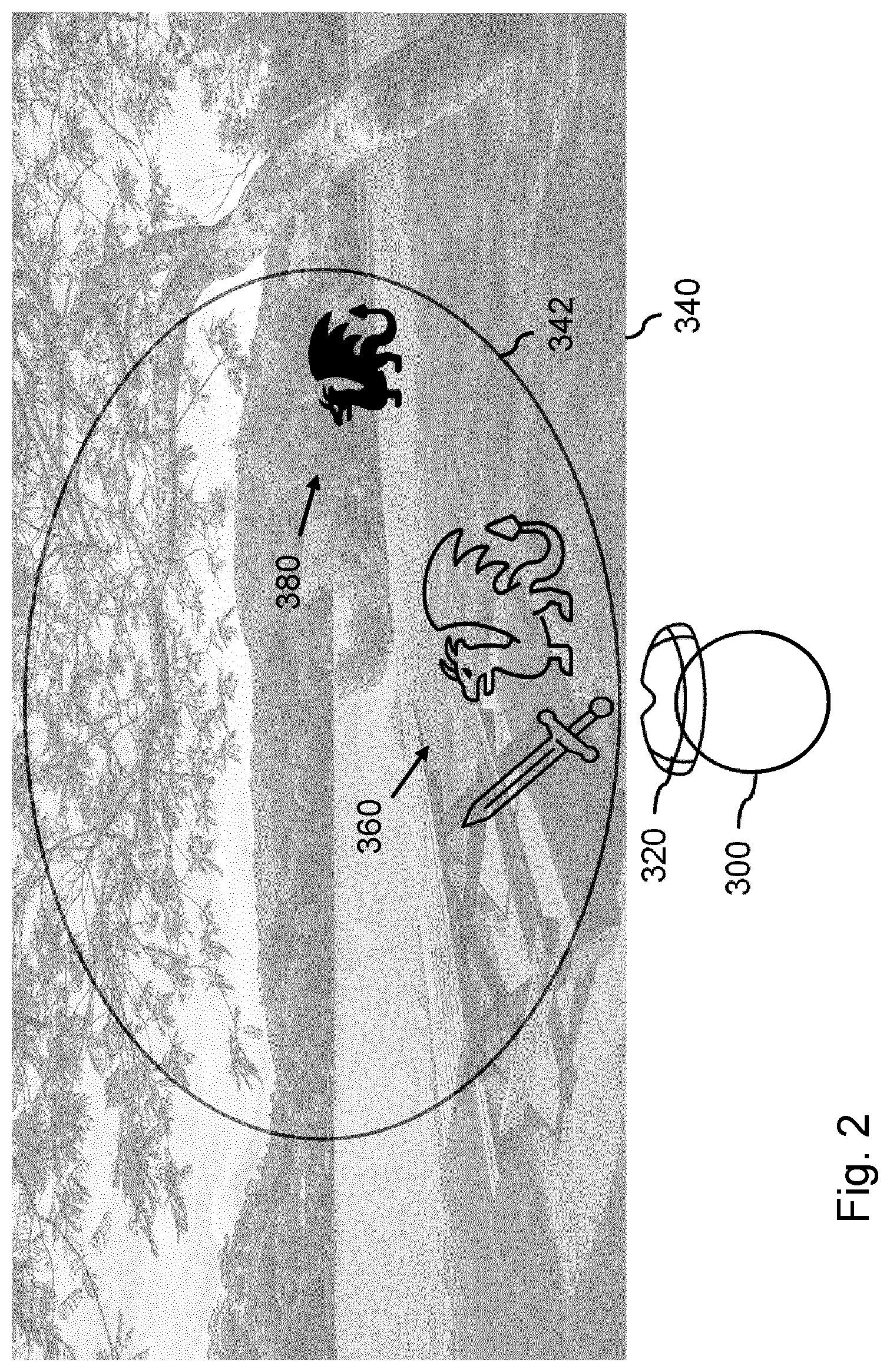 Patent US12620186 Figure 2 – Augmenting video or external environment with 3D graphics