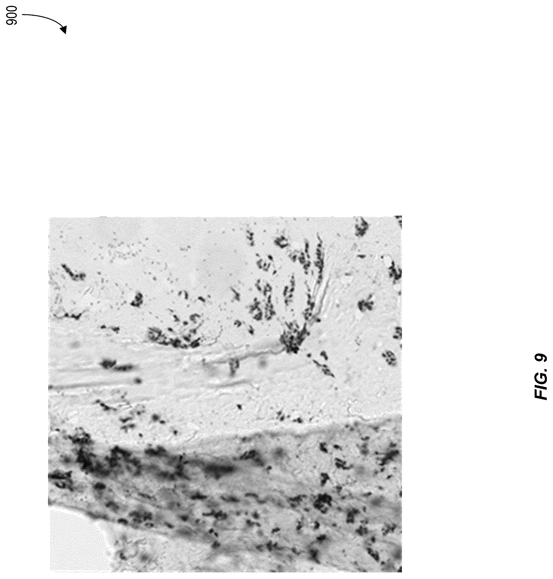 Patent US12620210 Figure 9 – Machine-learning techniques for detecting artifact pixels in images
