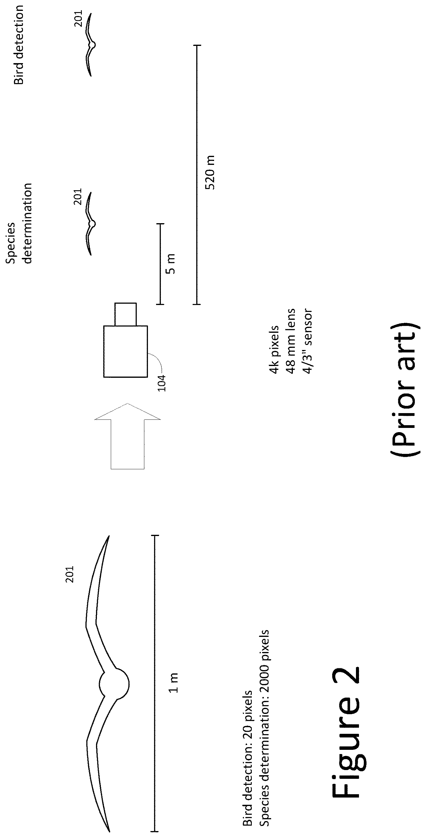 Patent US12620224 Figure 2 – Bird detection and species determination