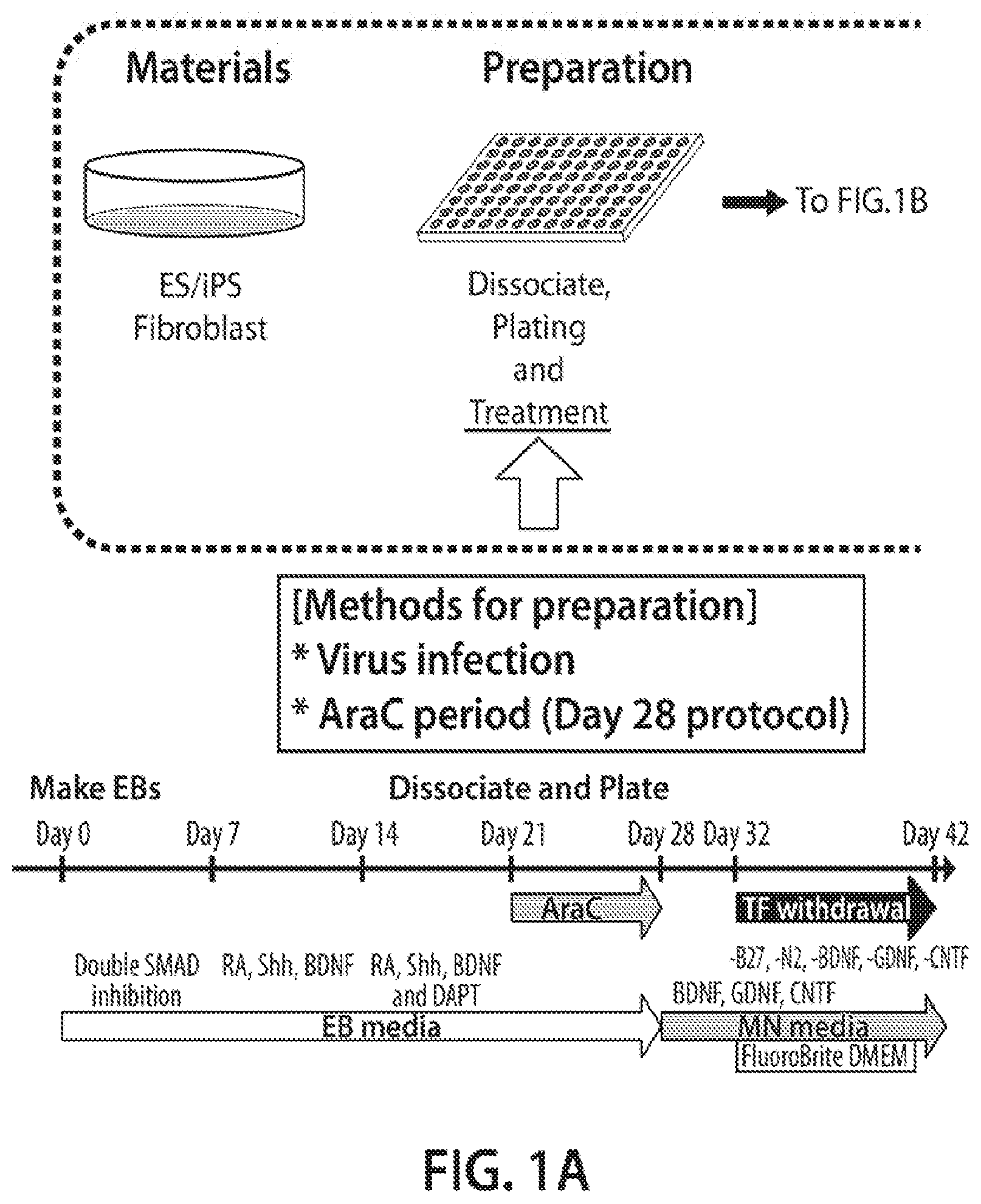Patent US12620244 Figure 1 – Methods and devices for live cell imaging analysis