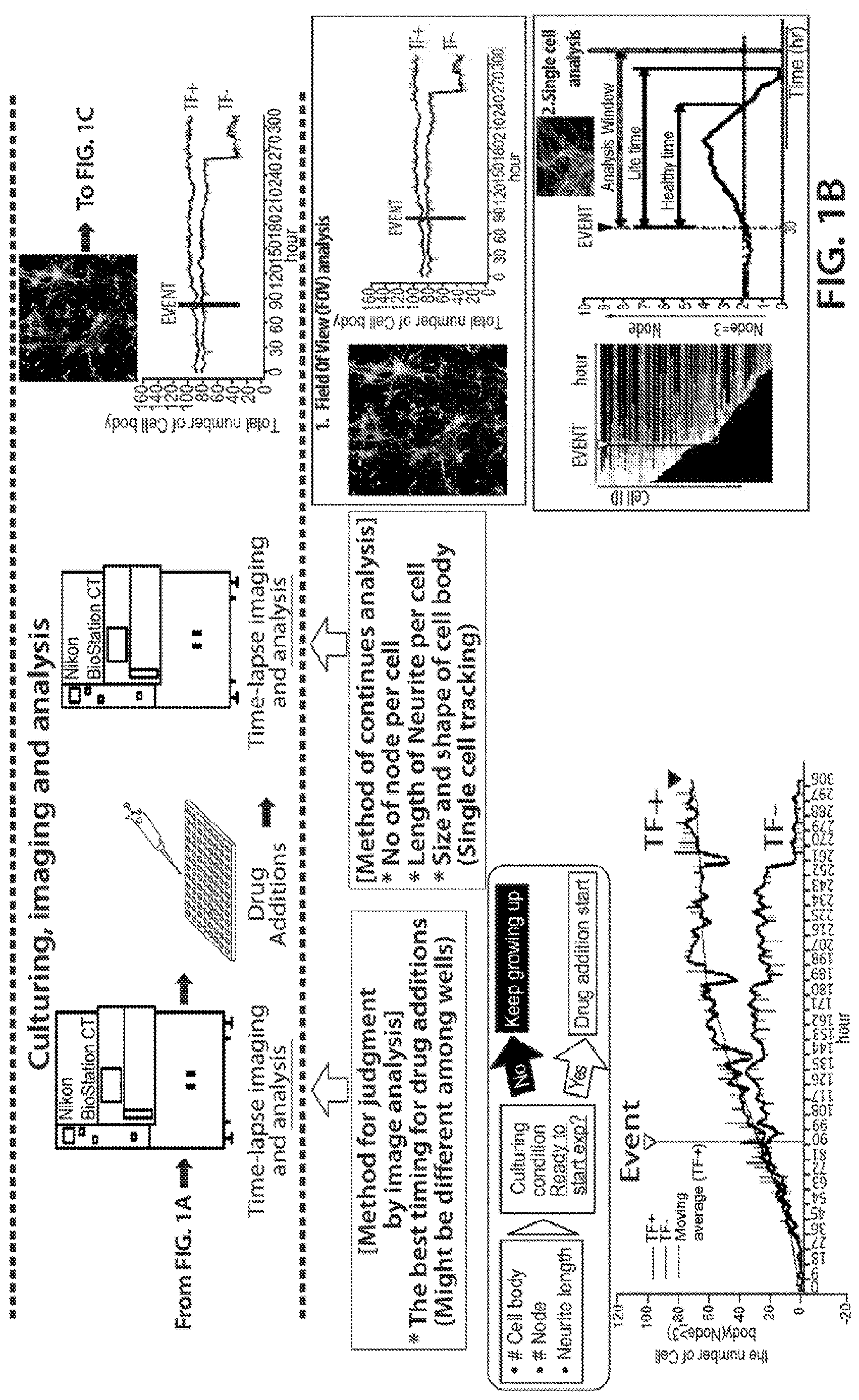 Patent US12620244 Figure 2 – Methods and devices for live cell imaging analysis