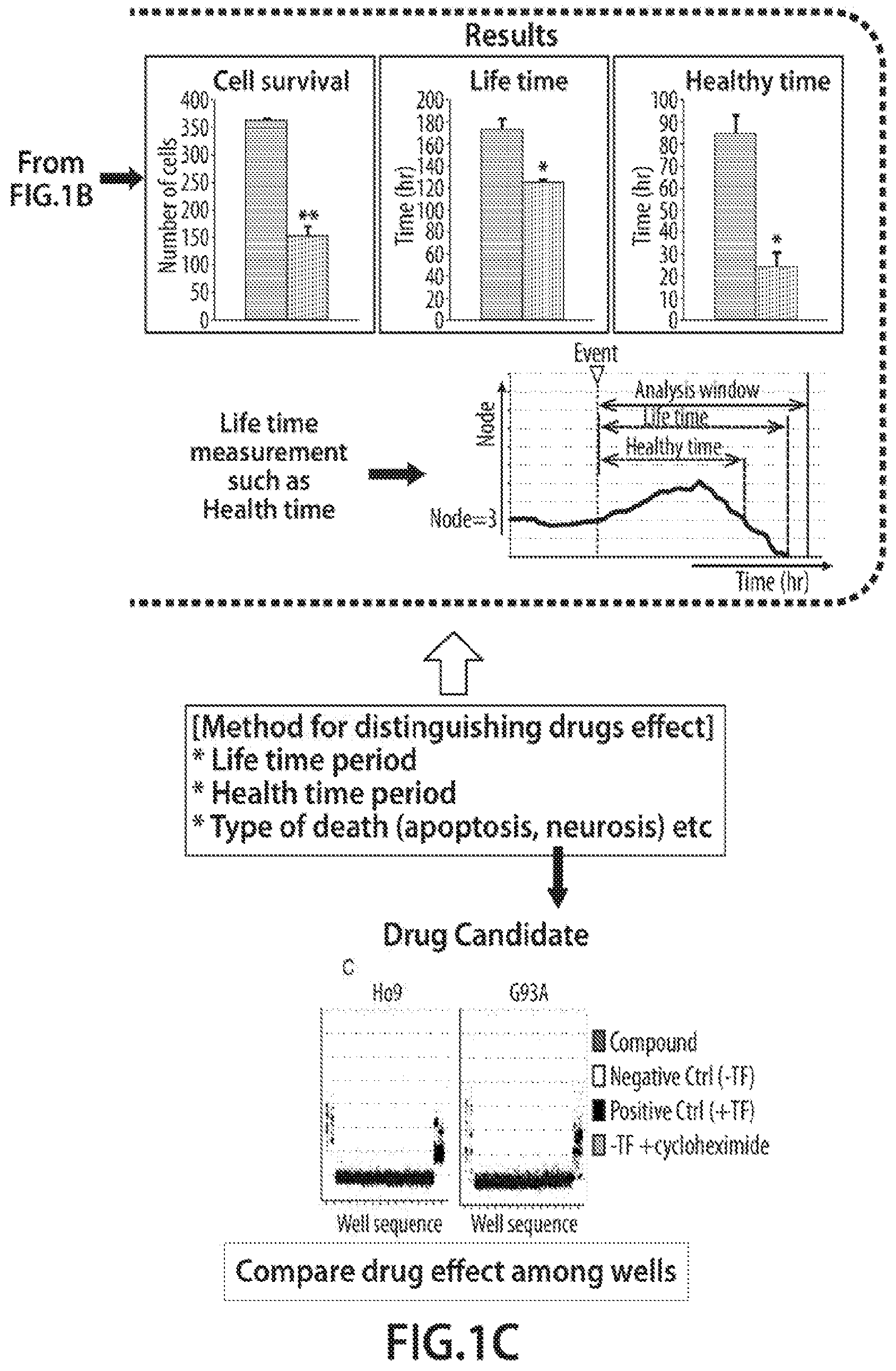 Patent US12620244 Figure 3 – Methods and devices for live cell imaging analysis