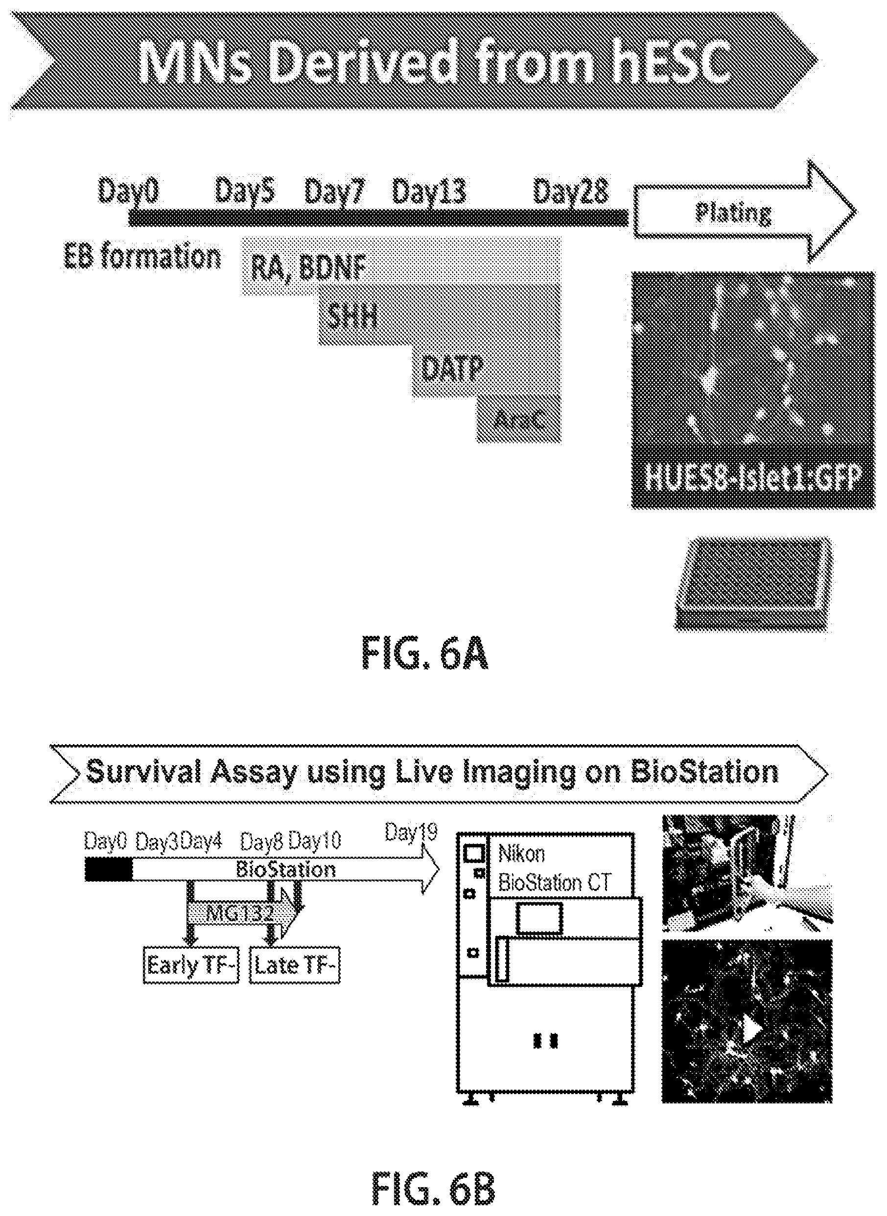 Patent US12620244 Figure 8 – Methods and devices for live cell imaging analysis