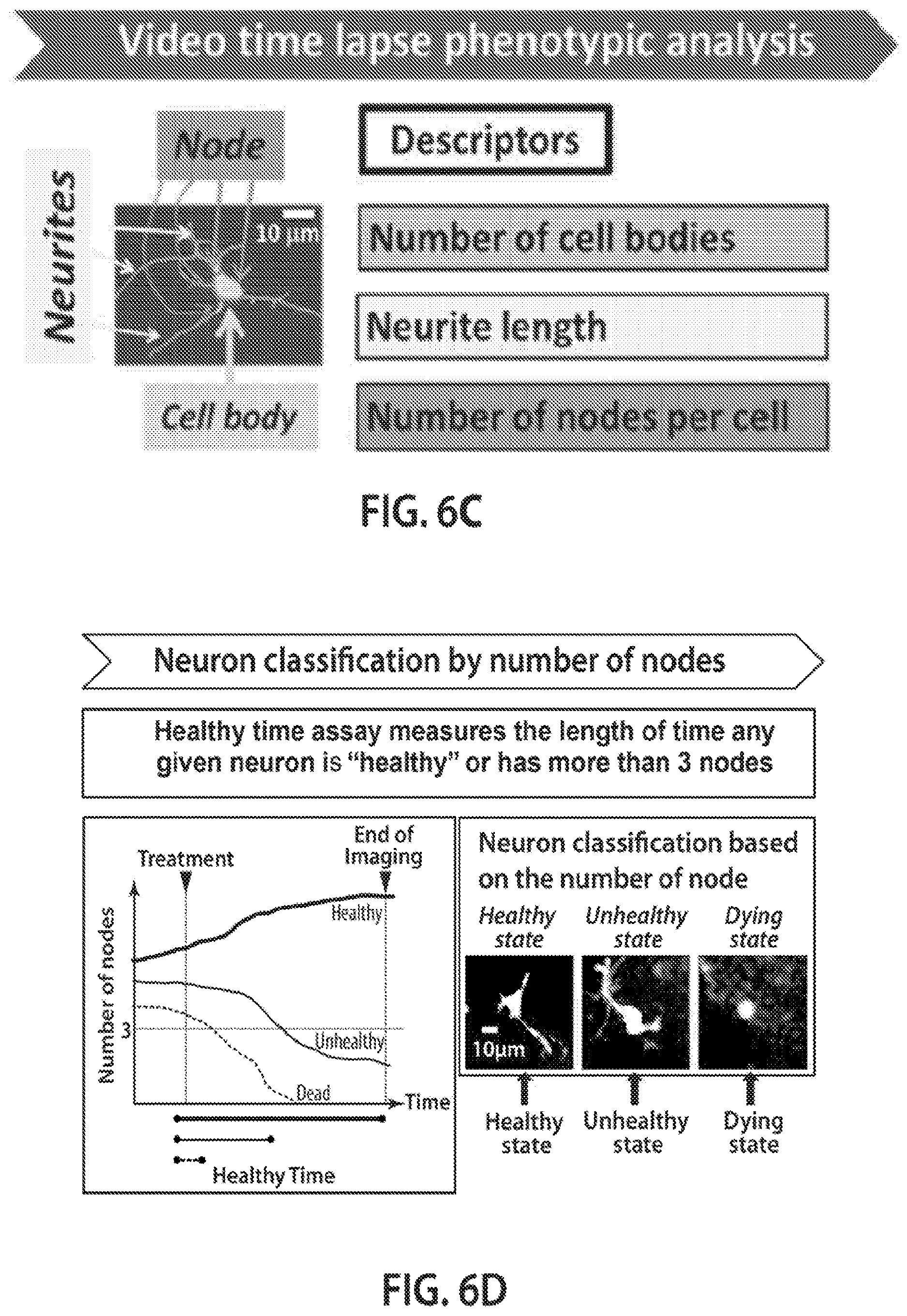 Patent US12620244 Figure 9 – Methods and devices for live cell imaging analysis