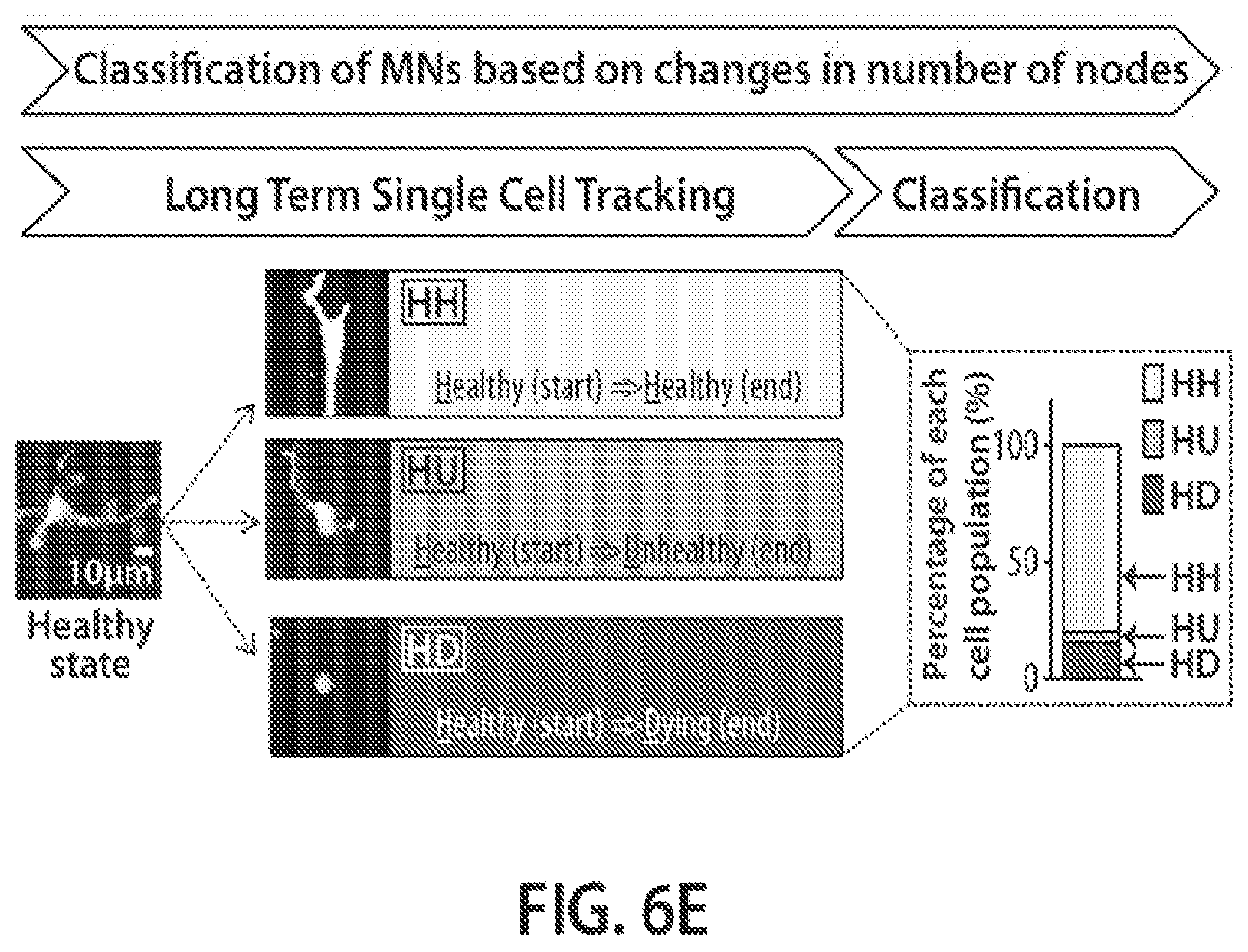 Patent US12620244 Figure 10 – Methods and devices for live cell imaging analysis