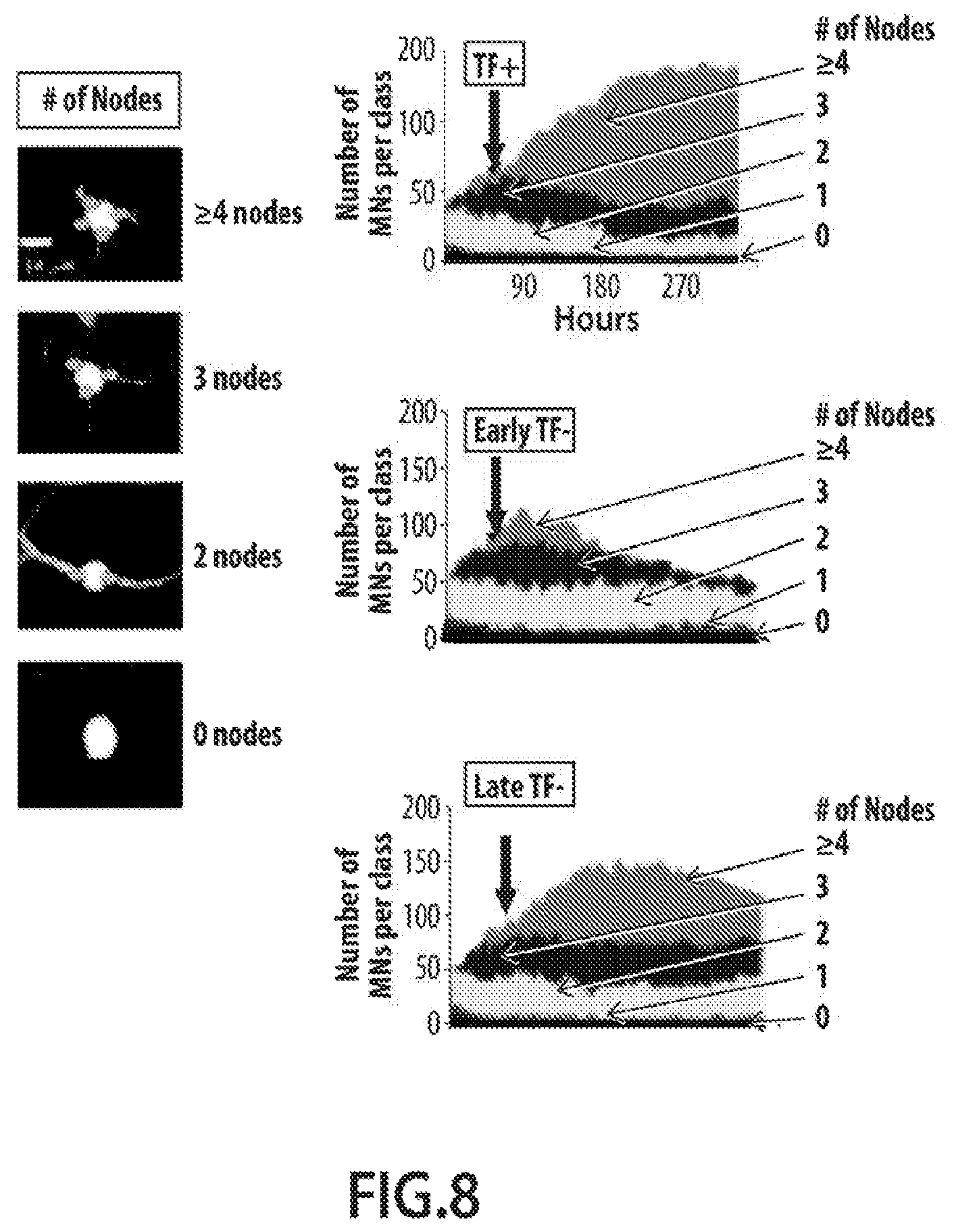 Patent US12620244 Figure 12 – Methods and devices for live cell imaging analysis
