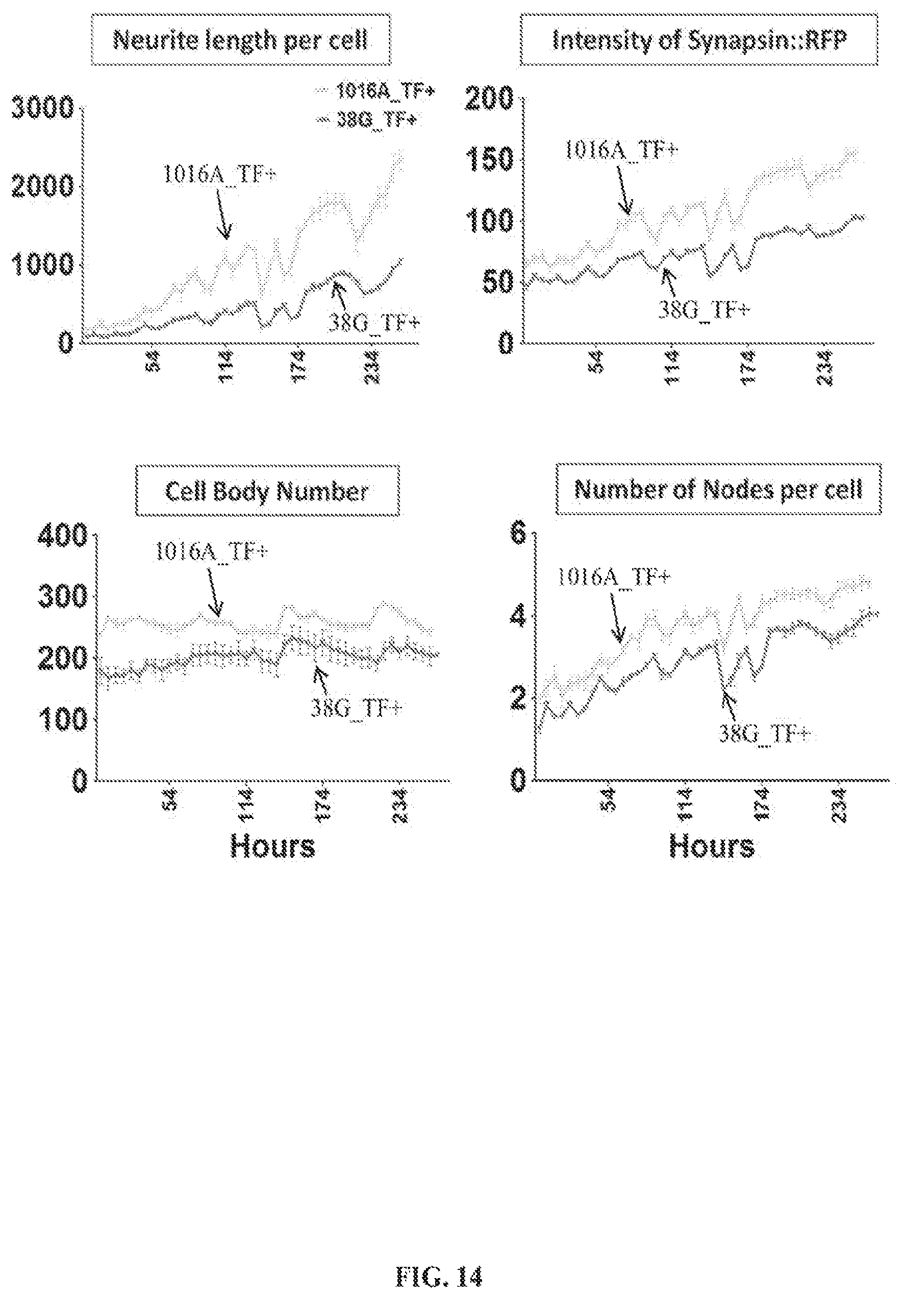 Patent US12620244 Figure 18 – Methods and devices for live cell imaging analysis