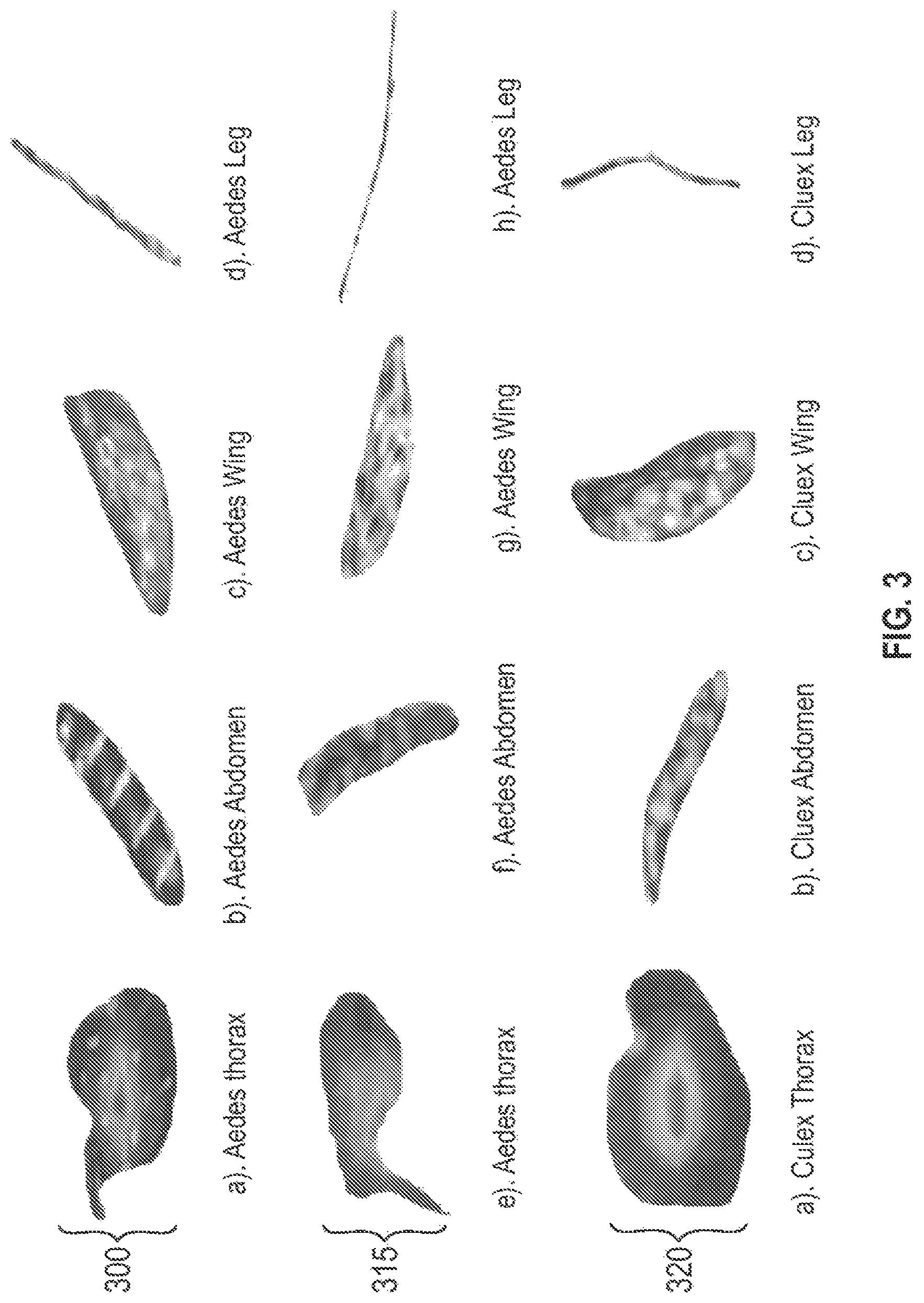 Patent US12620254 Figure 3 – Systems and methods for classifying mosquito larvae based on extracted masks of anatomical components from images
