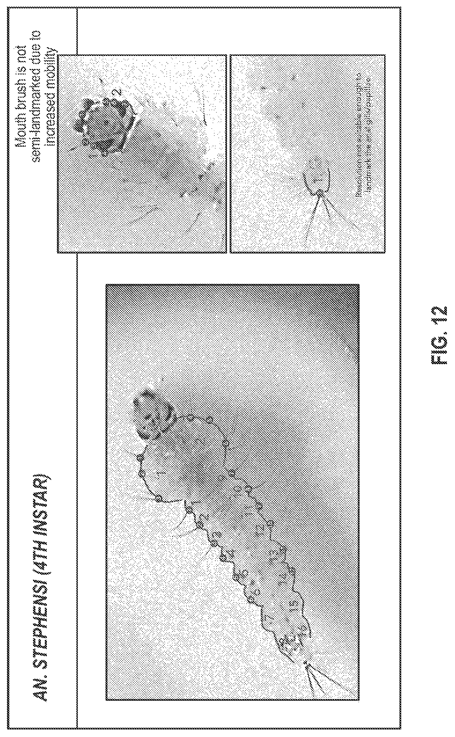 Patent US12620254 Figure 10 – Systems and methods for classifying mosquito larvae based on extracted masks of anatomical components from images