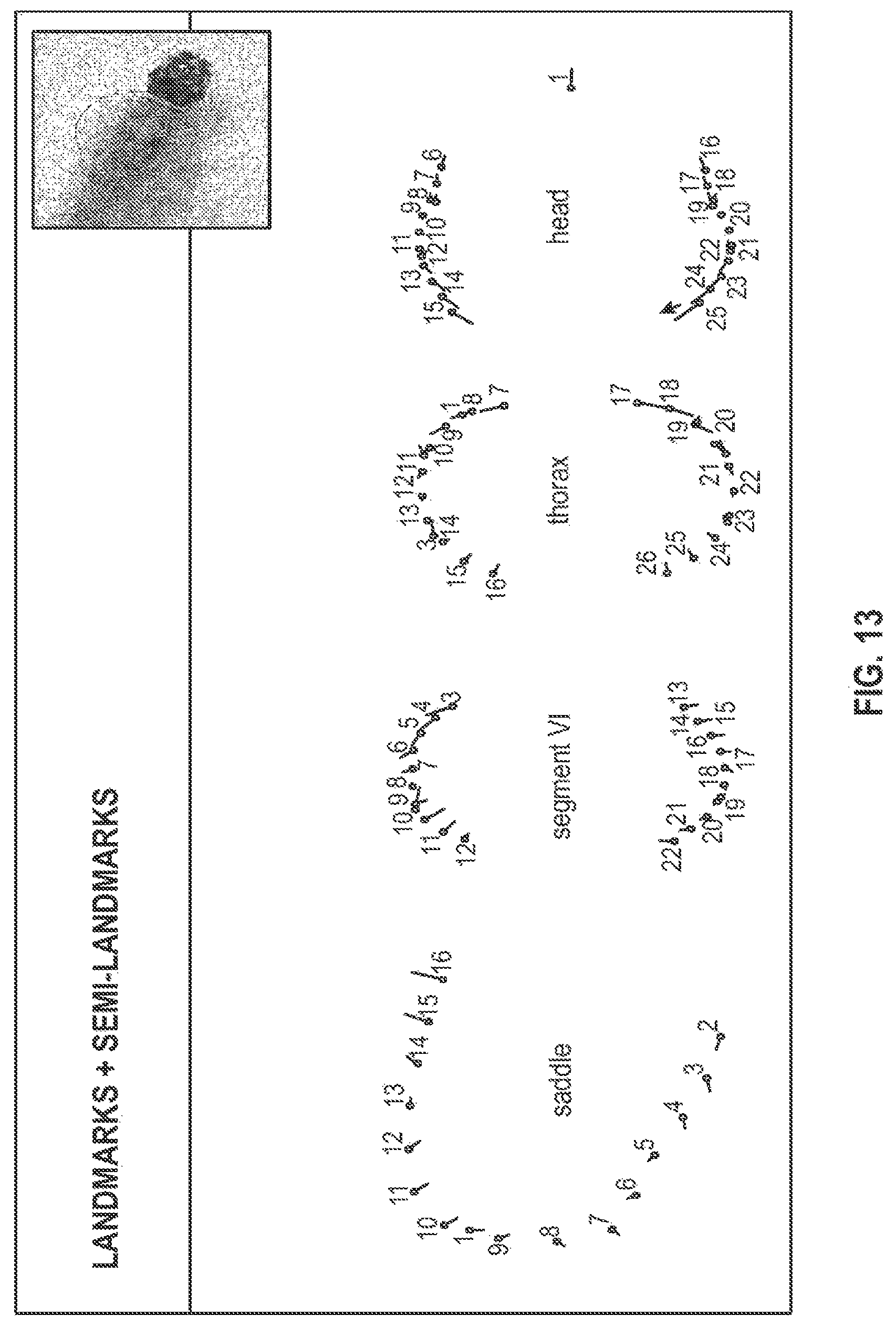 Patent US12620254 Figure 11 – Systems and methods for classifying mosquito larvae based on extracted masks of anatomical components from images