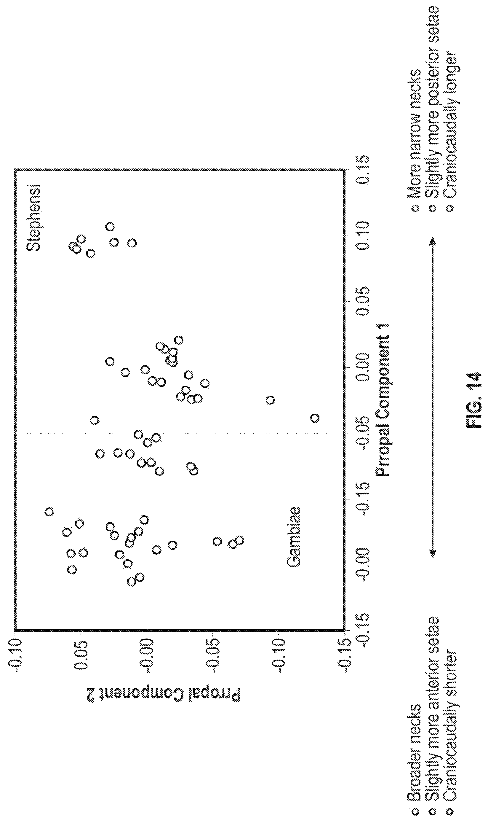 Patent US12620254 Figure 12 – Systems and methods for classifying mosquito larvae based on extracted masks of anatomical components from images