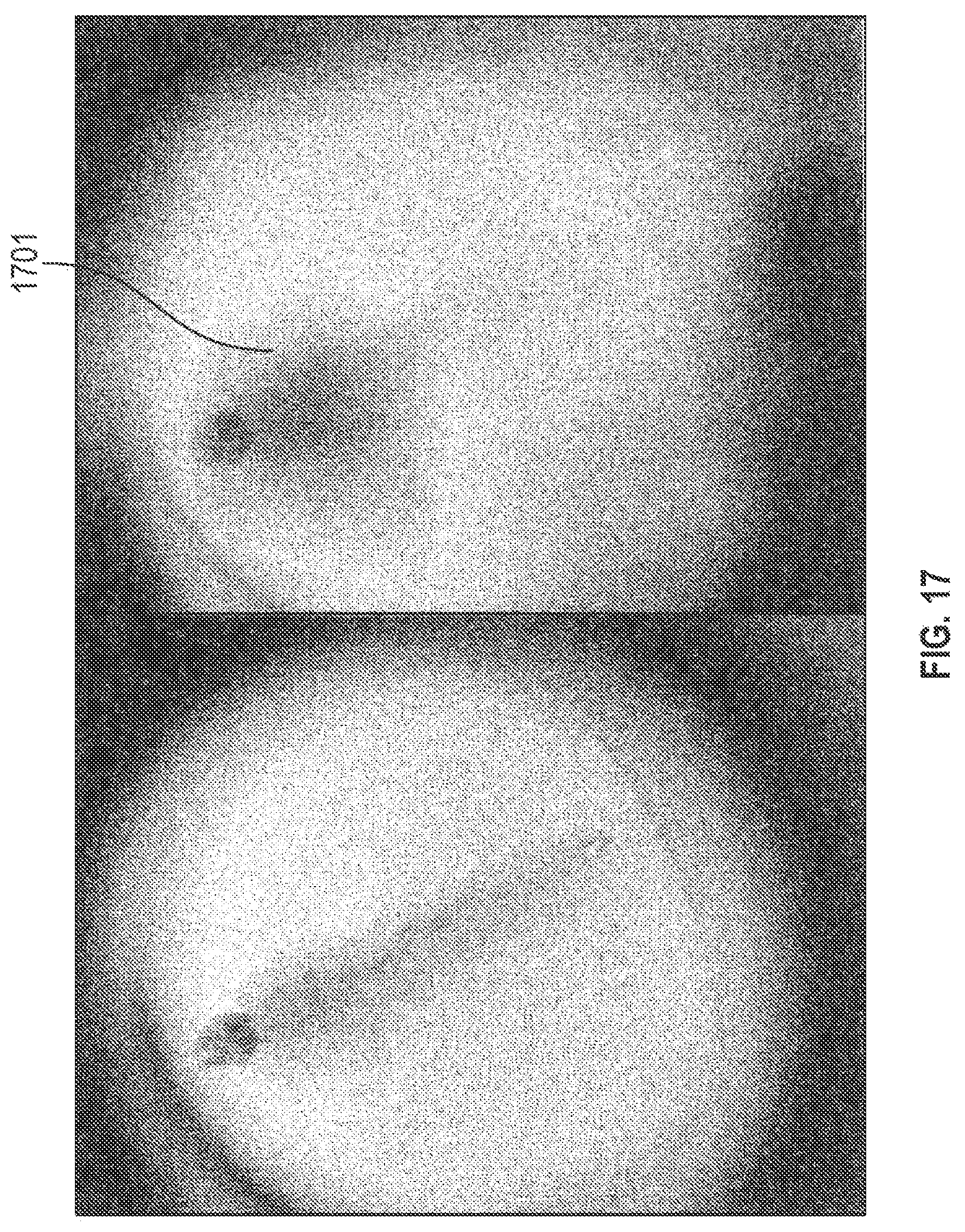 Patent US12620254 Figure 15 – Systems and methods for classifying mosquito larvae based on extracted masks of anatomical components from images
