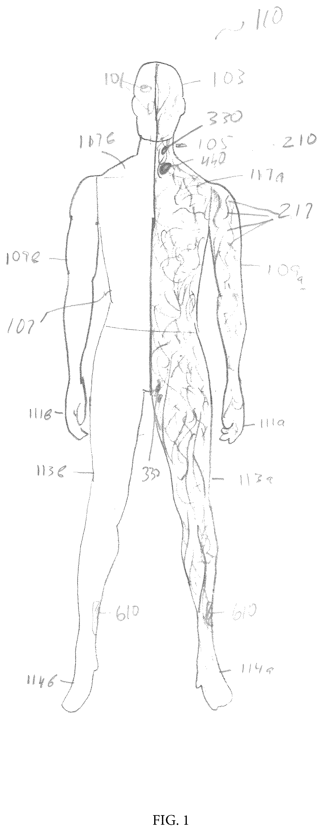 Patent US12620325 — Lymphatic system simulator — Figure 1