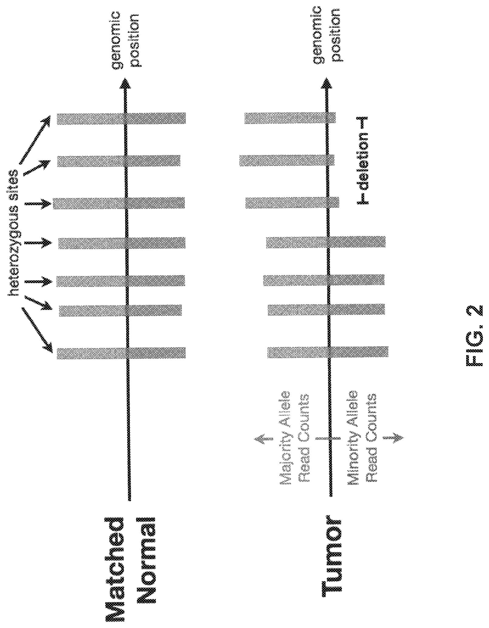 Patent US12620454 Figure 2 – BAMBAM: parallel comparative analysis of high-throughput sequencing data